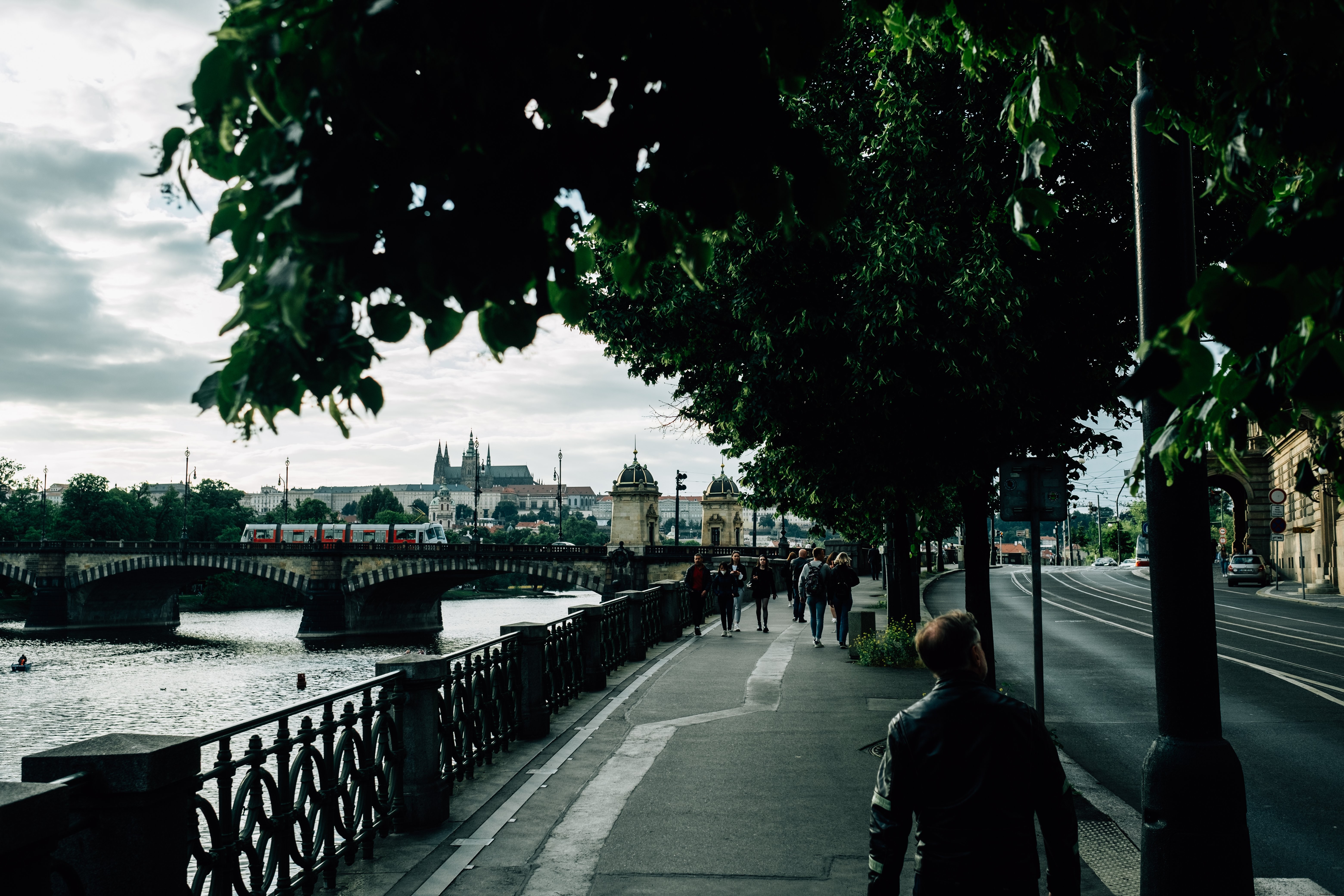 Strolling Along a Riverside Tree‑Lined Path