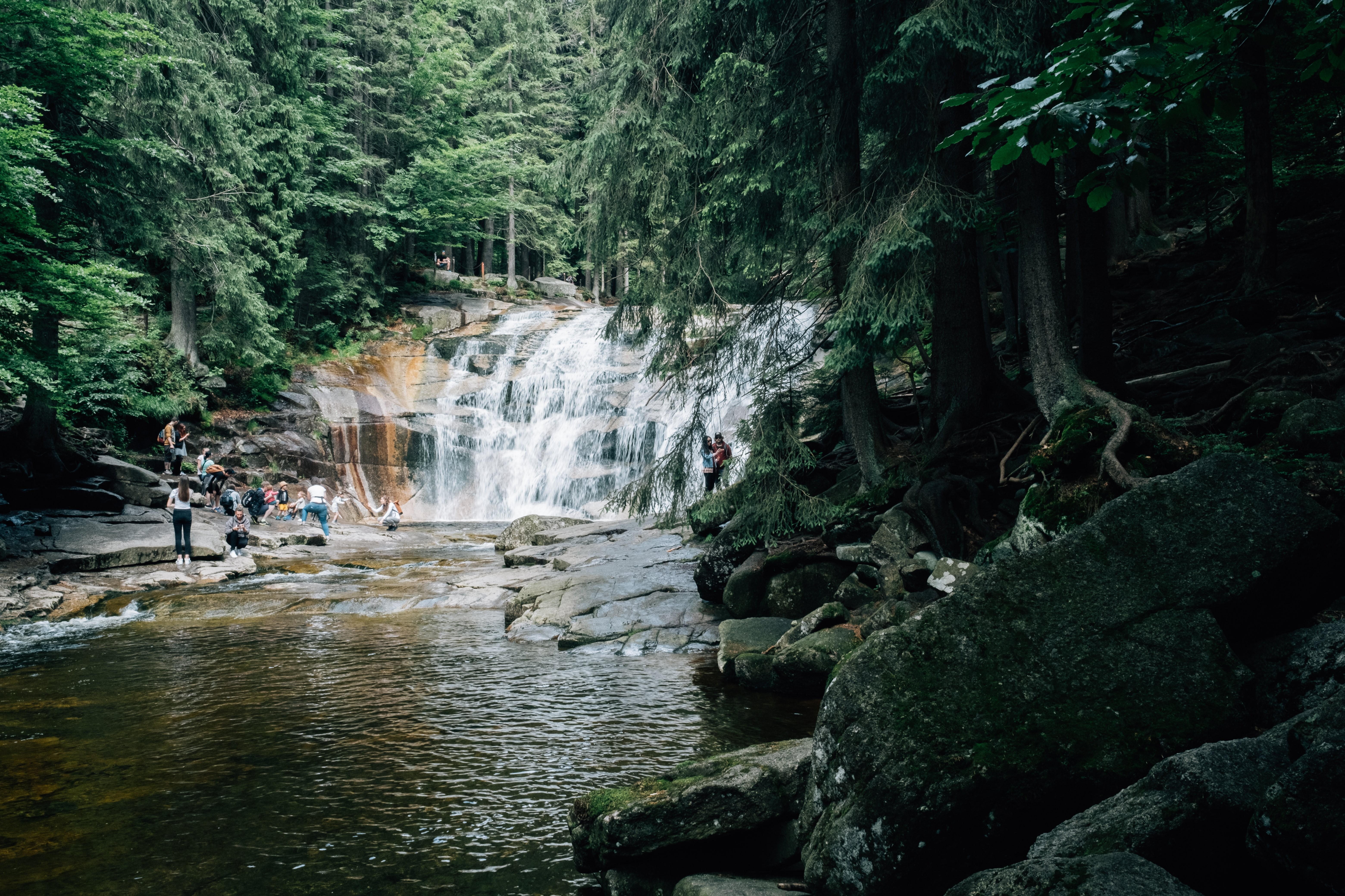 Experience the Serenity of a Forest‑Lined Waterfall