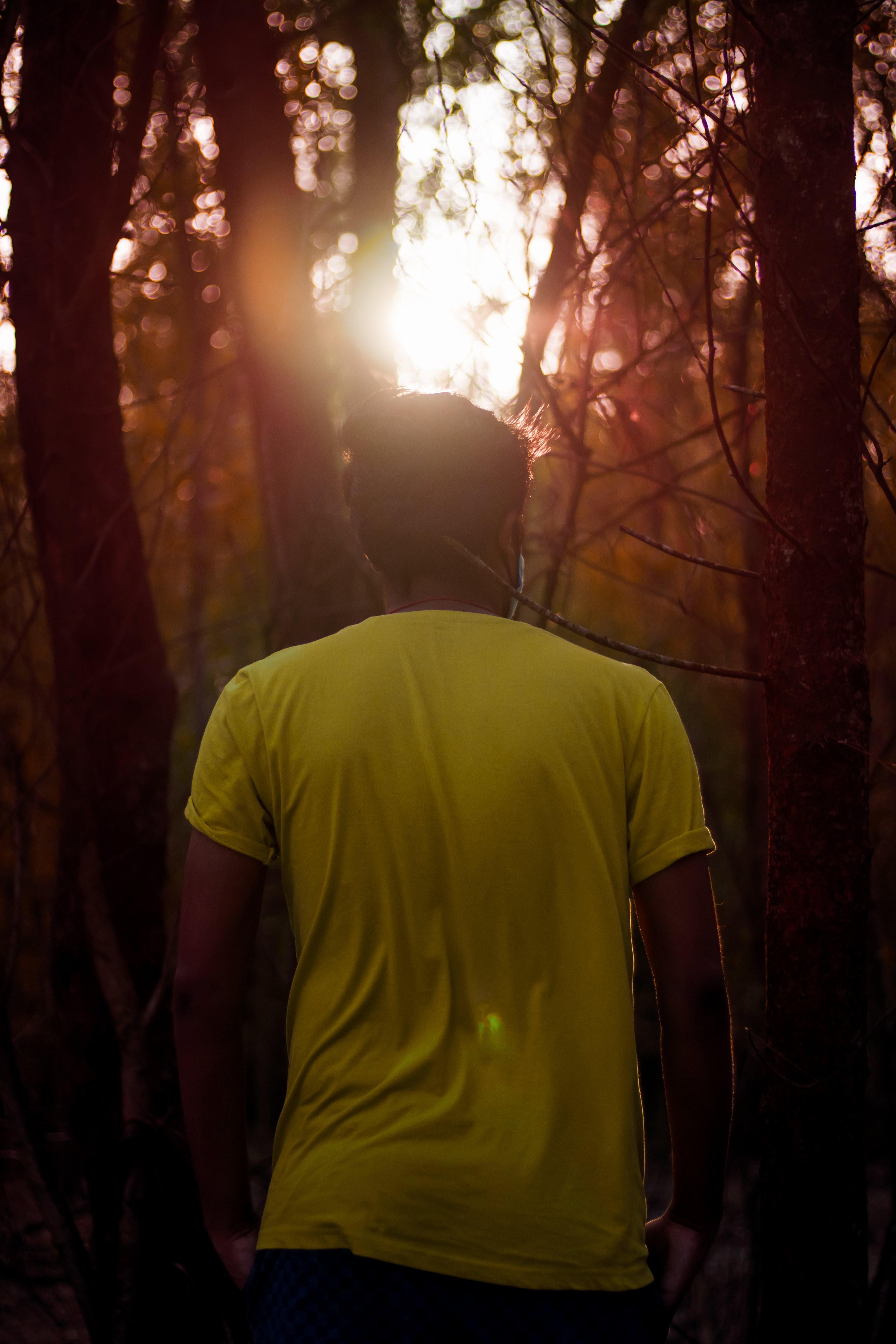 Stroll Through Mystery: Yellow‑Shirted Explorer Enters a Dark Forest