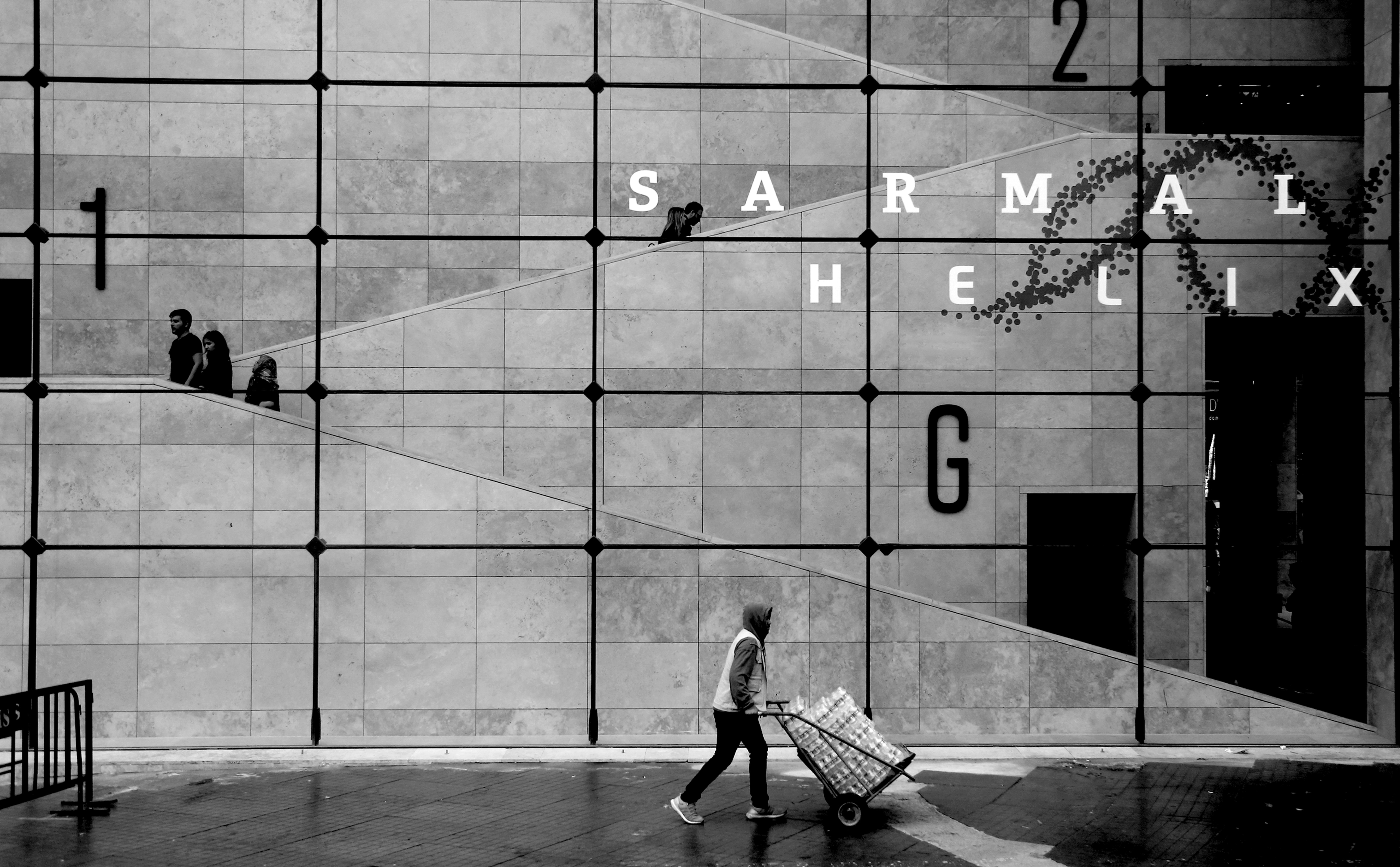 Stunning Black‑and‑White Photo of a Person Walking Past a Large Grid Window