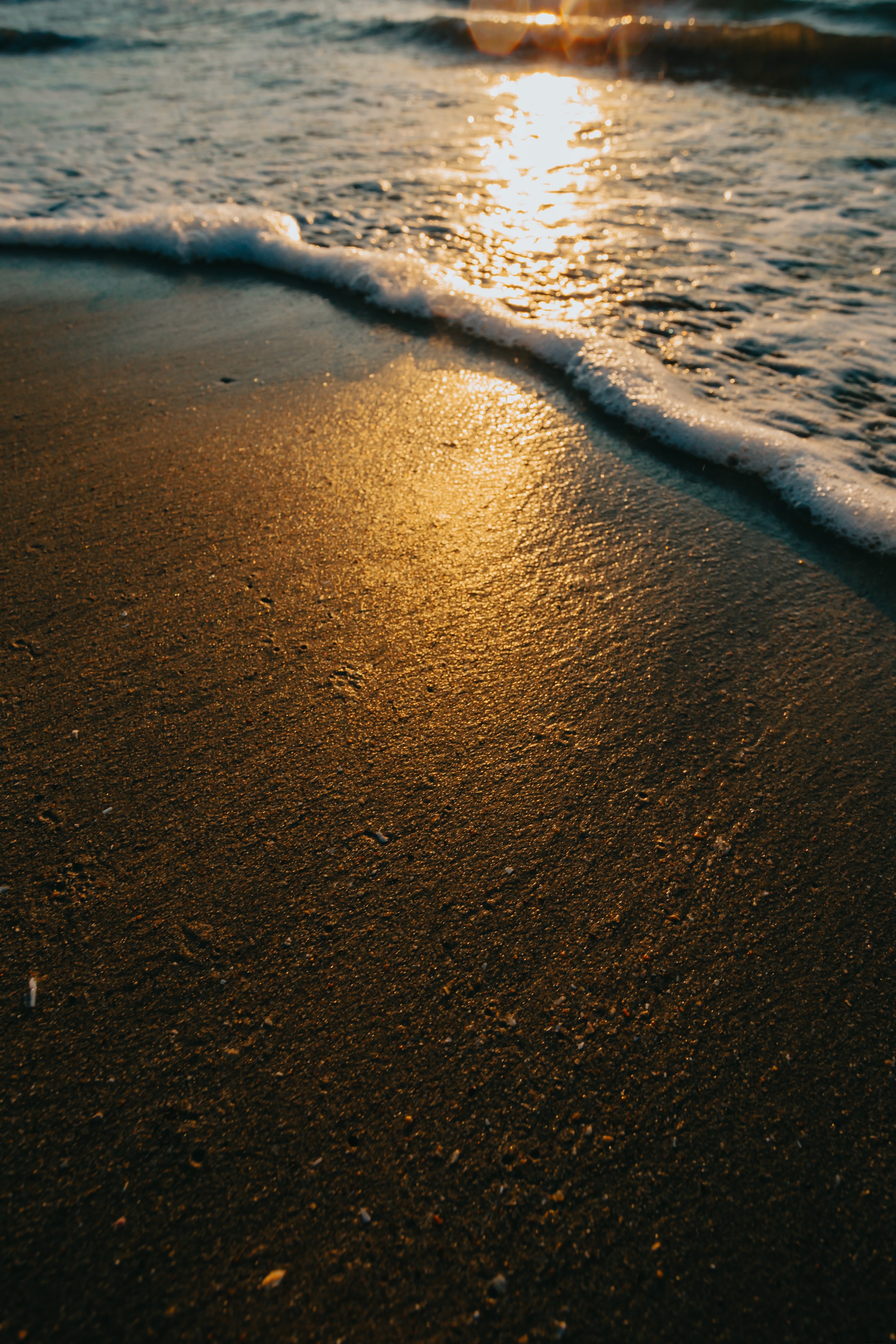 Golden Beach Sunset: Warm Light Over Lapping Waves