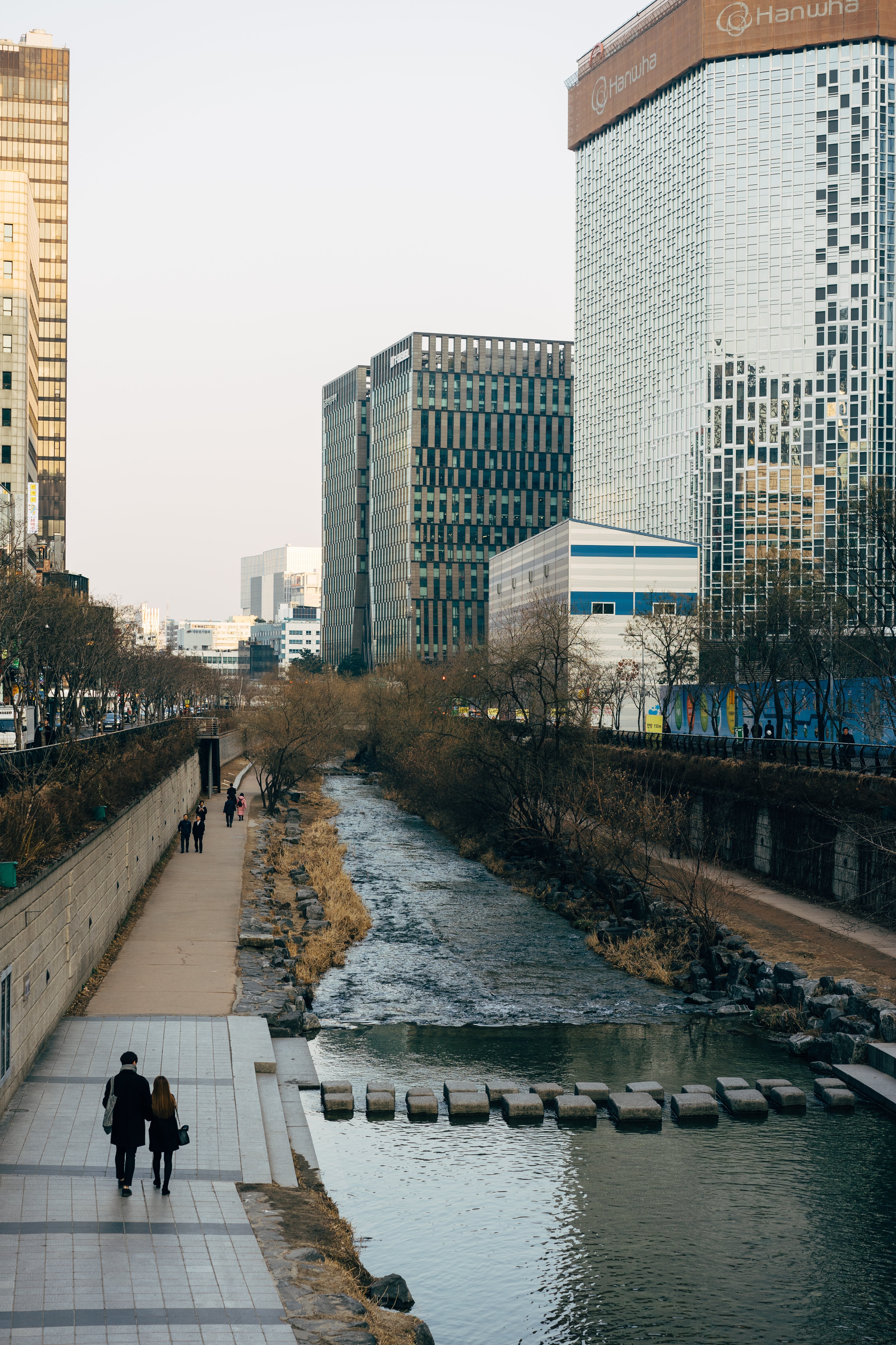 Capturing the Flow: A River Meandering Through the Cityscape