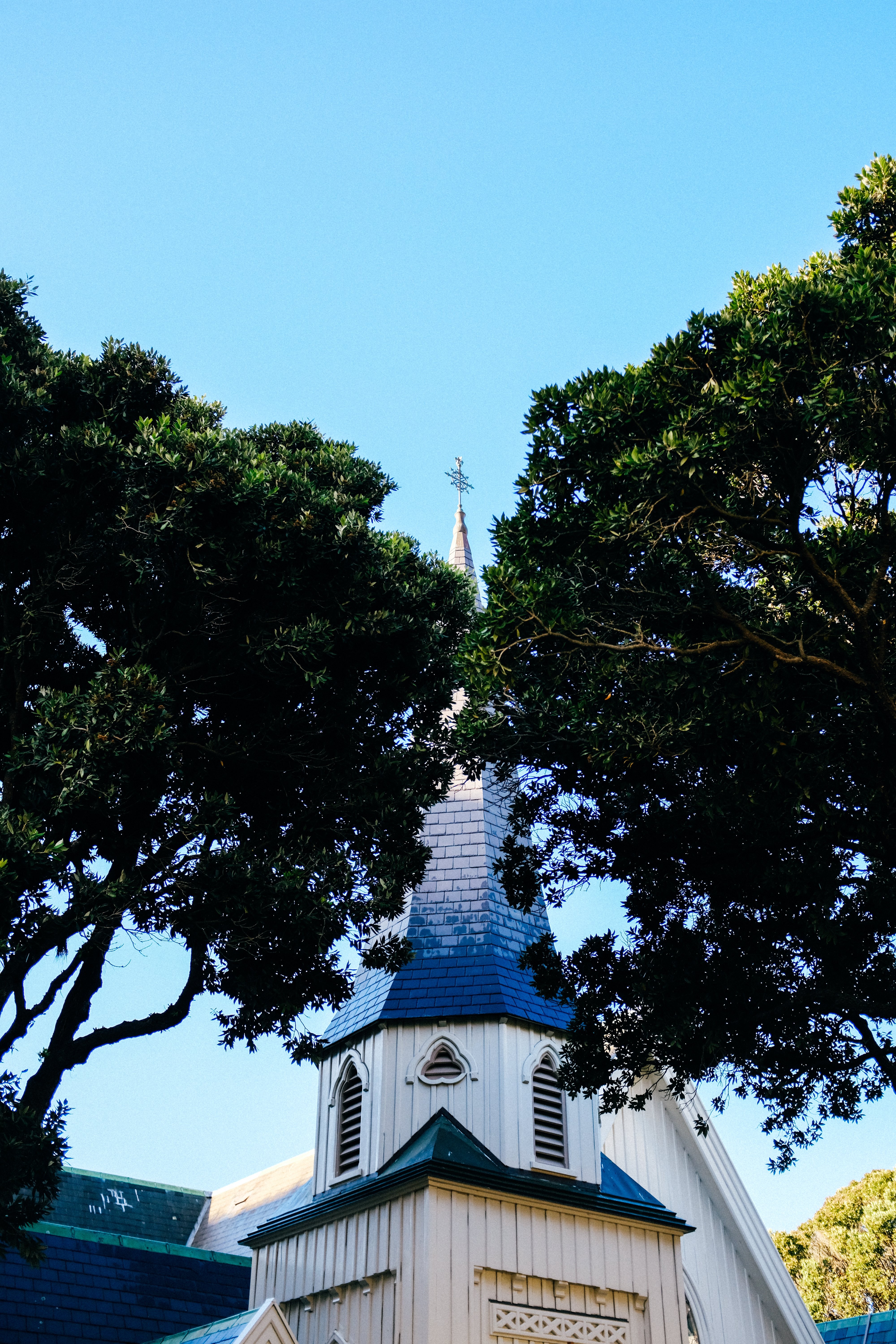 Stunning Church Spire Between Two Trees – A Serene Architectural Portrait