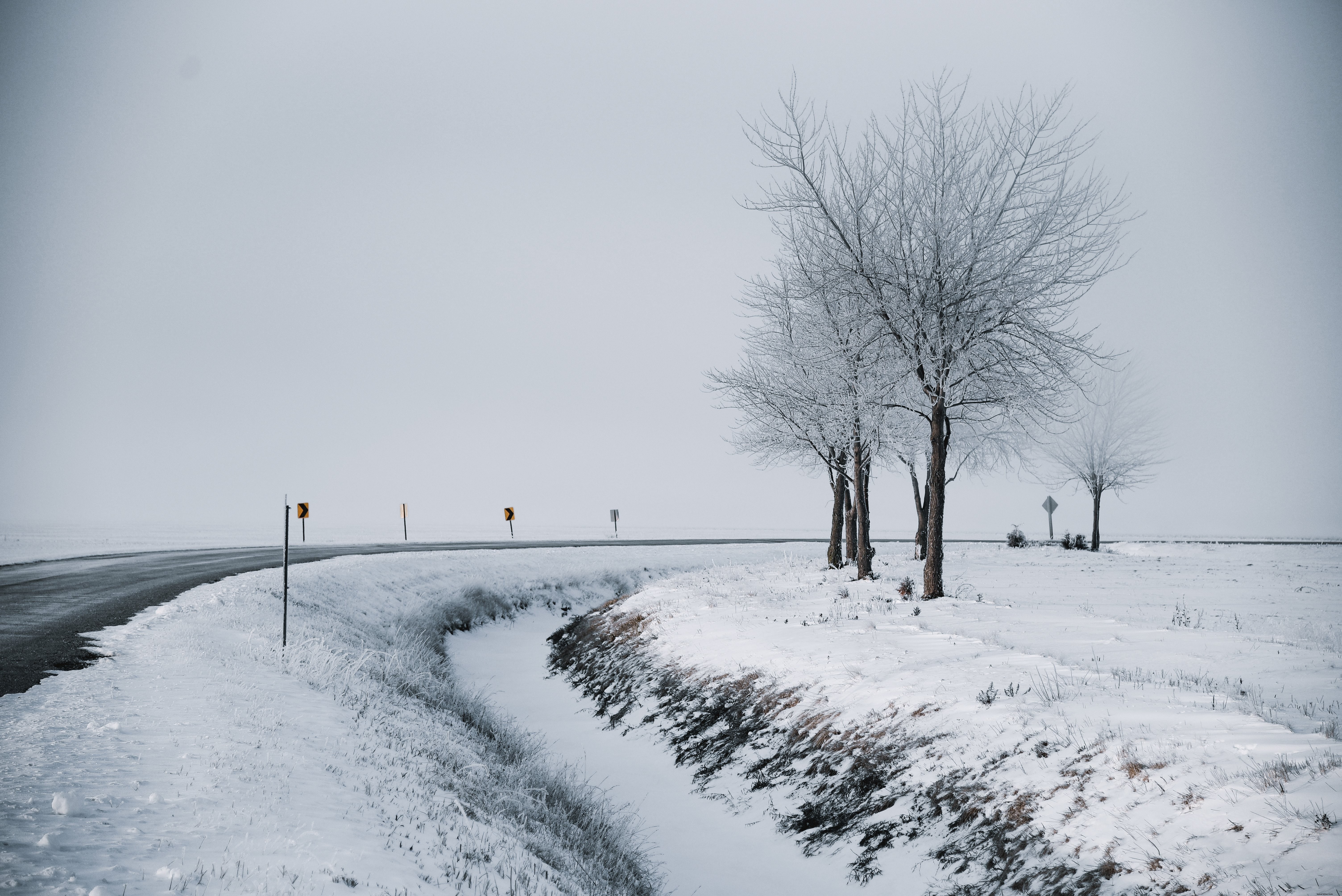 Snowy Winter Road Through Trees – Stunning Landscape Photography