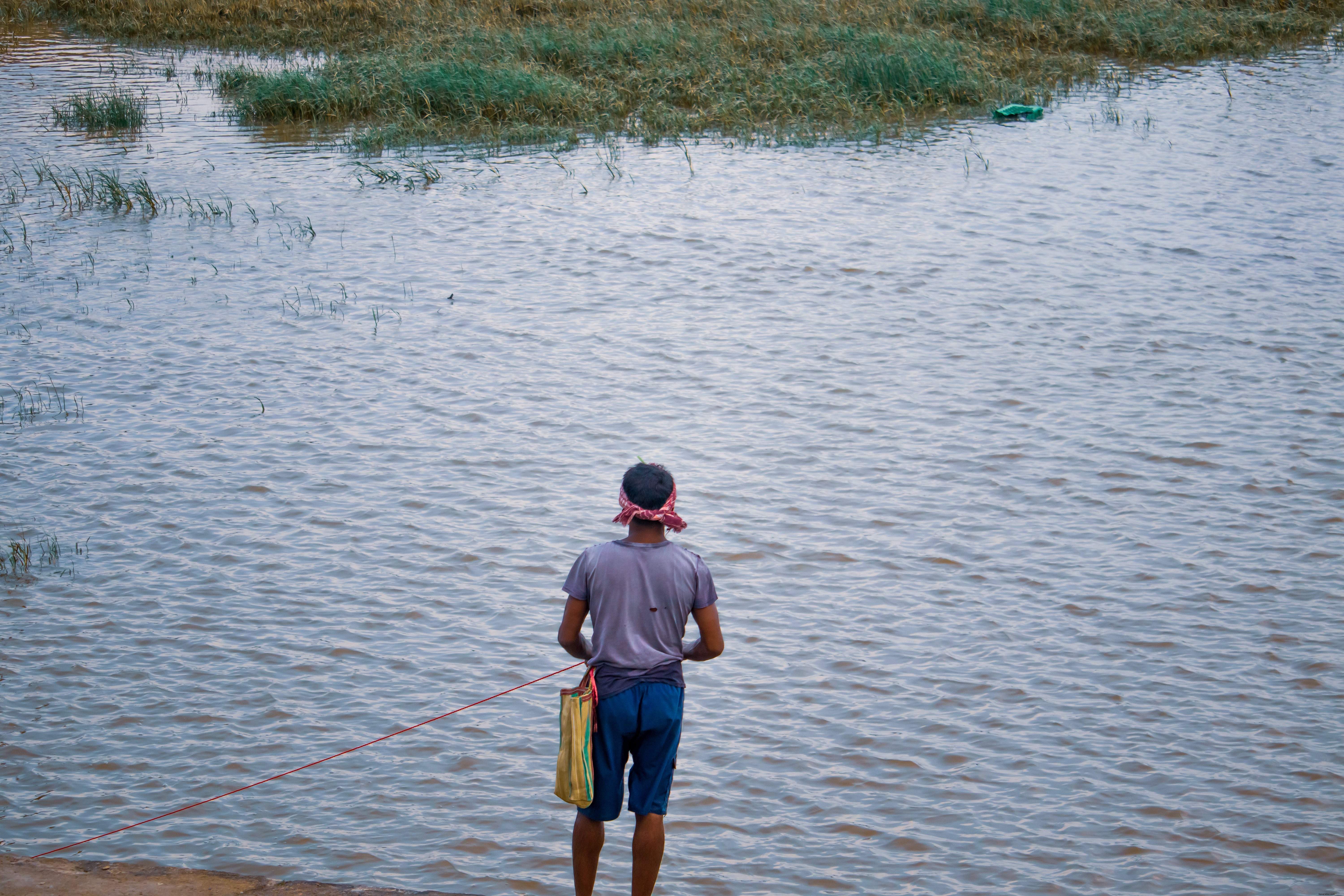 Stunning Photograph: Person Stands in Blue Water with Tall Grass