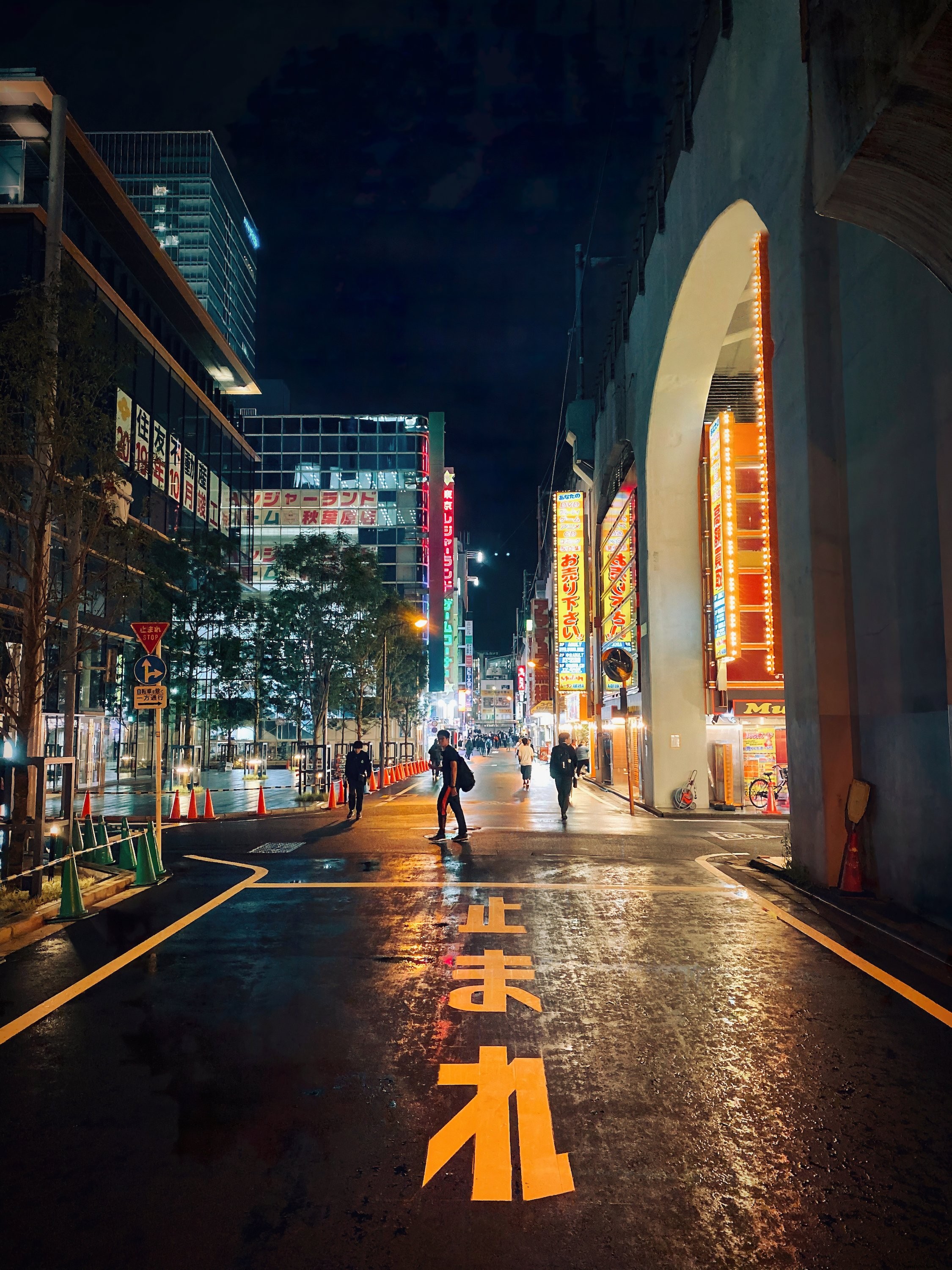 Stunning Nighttime Illumination of a Japanese City Street – Photo