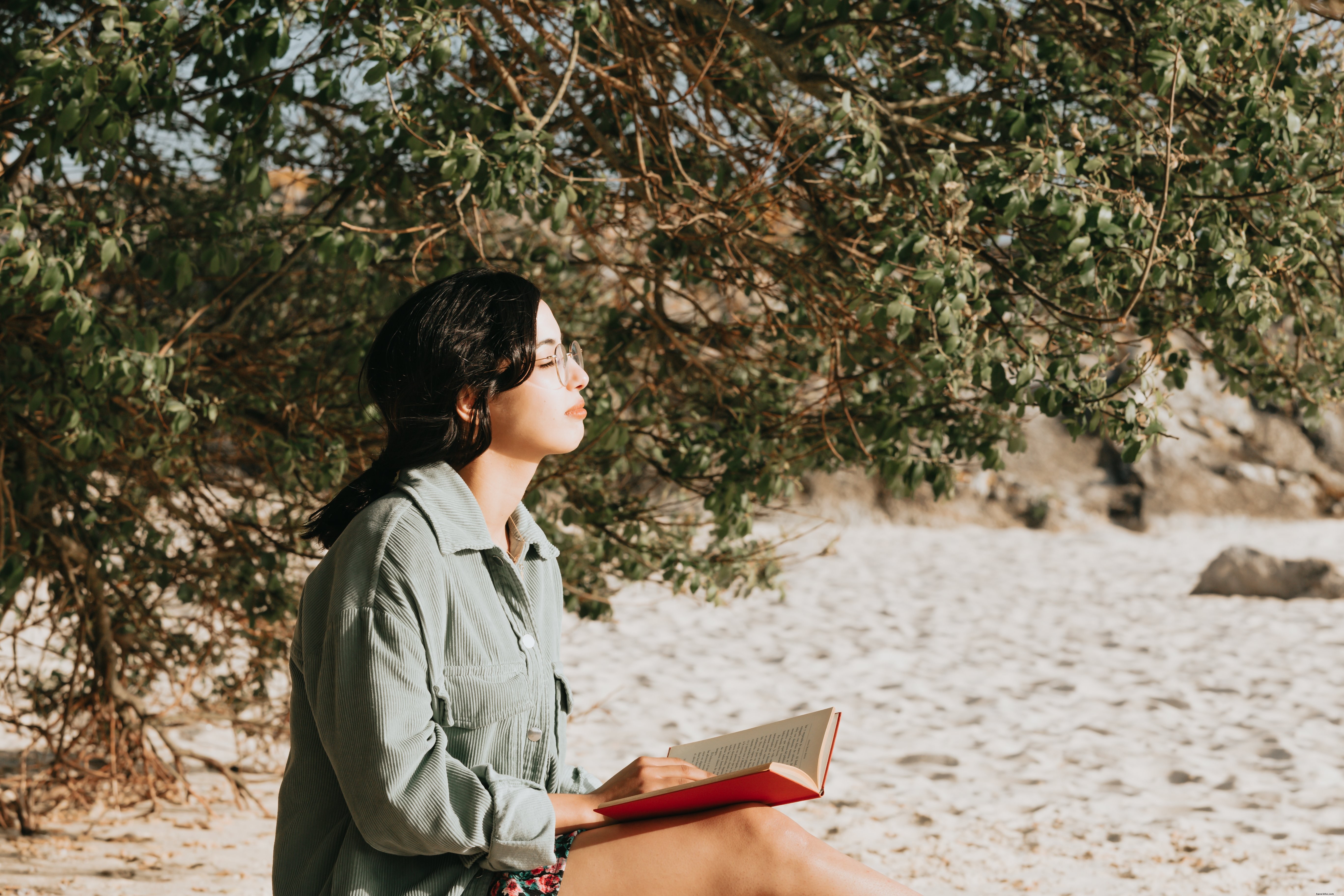Beachside Reading: A Photo of a Person Enjoying a Novel on Sandy Shores