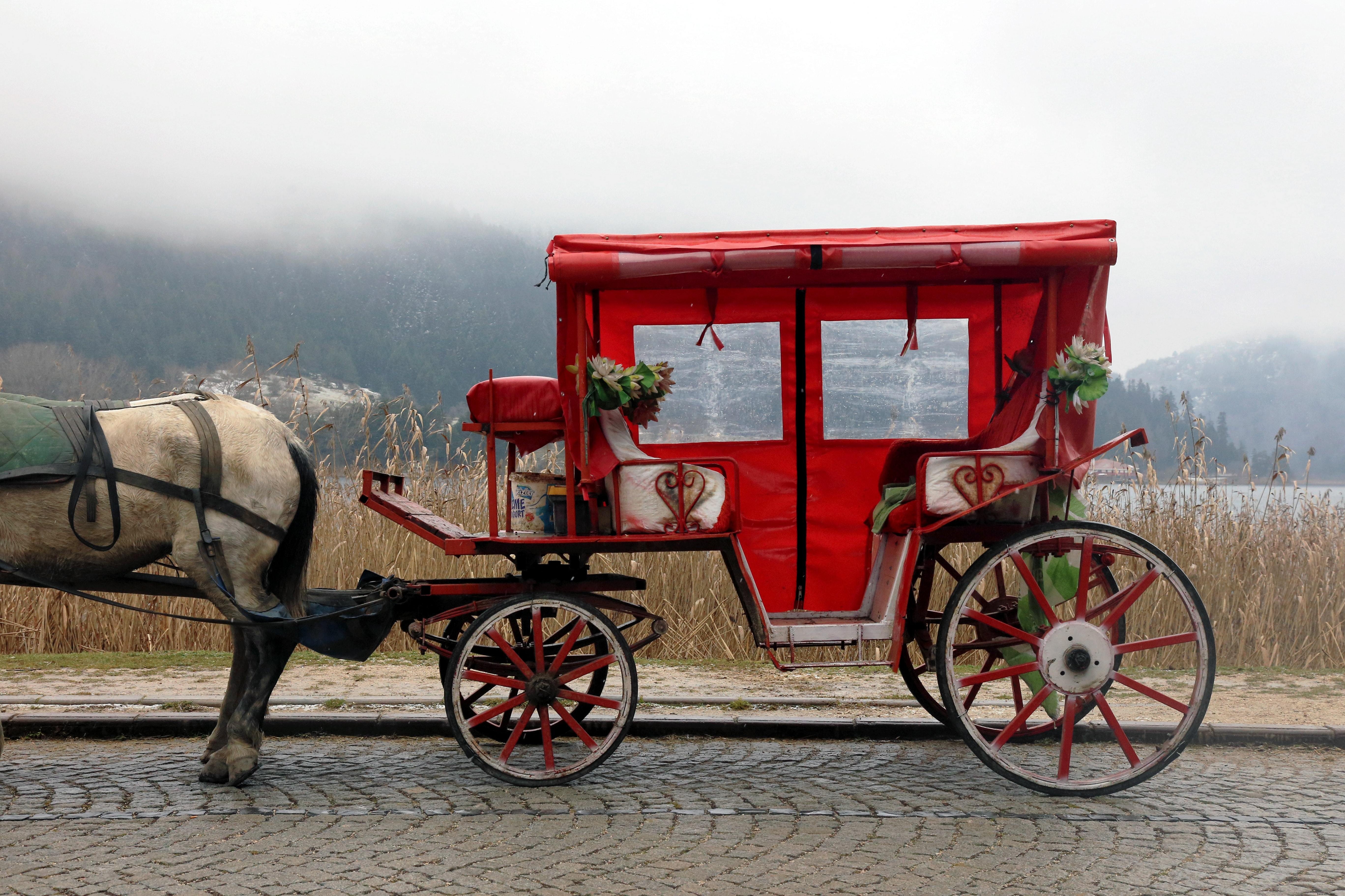 Historic Red & White Carriage with Horse – Photographic Detail