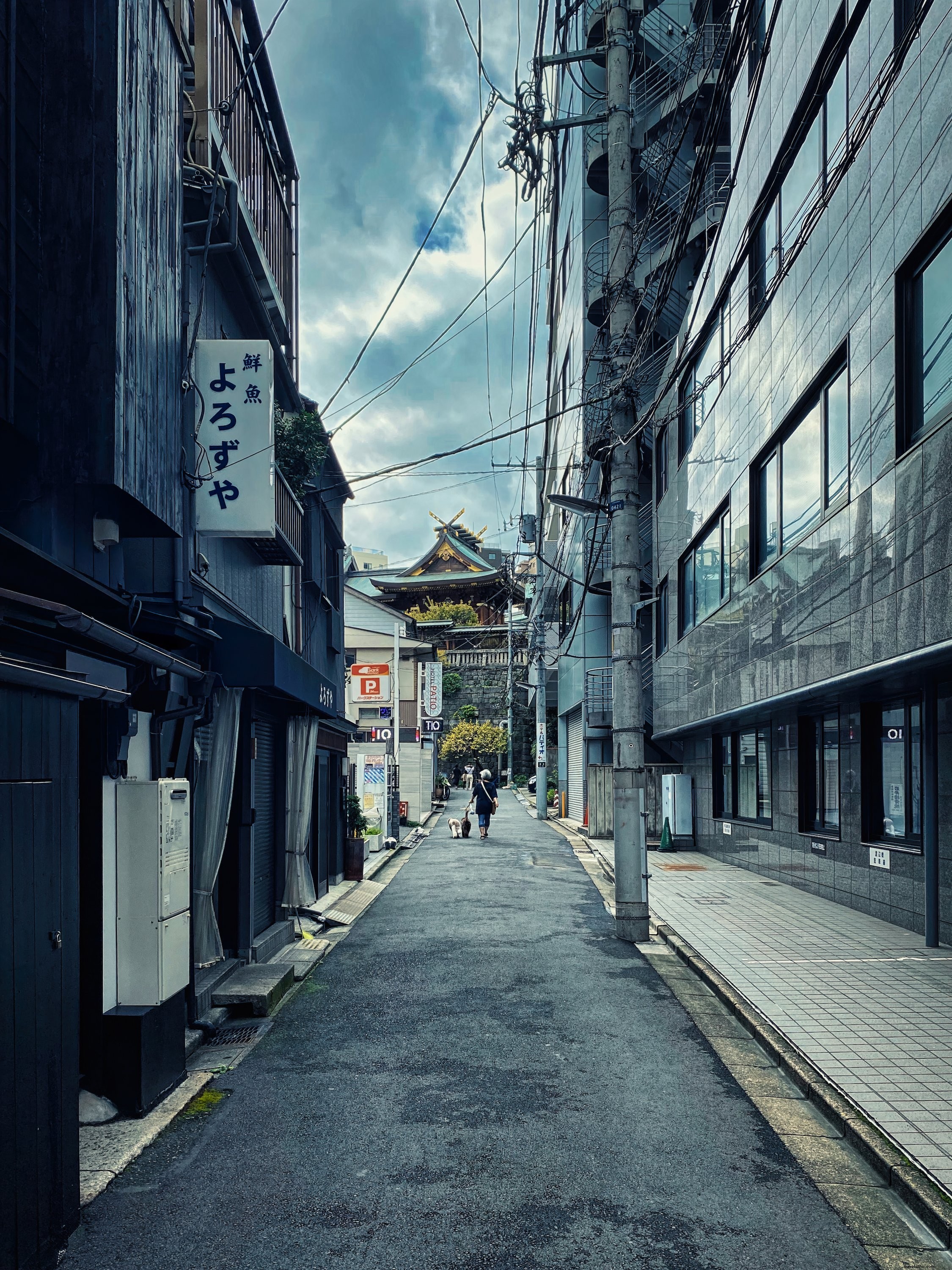Stunning View of a Narrow Street Flanked by Tall Buildings