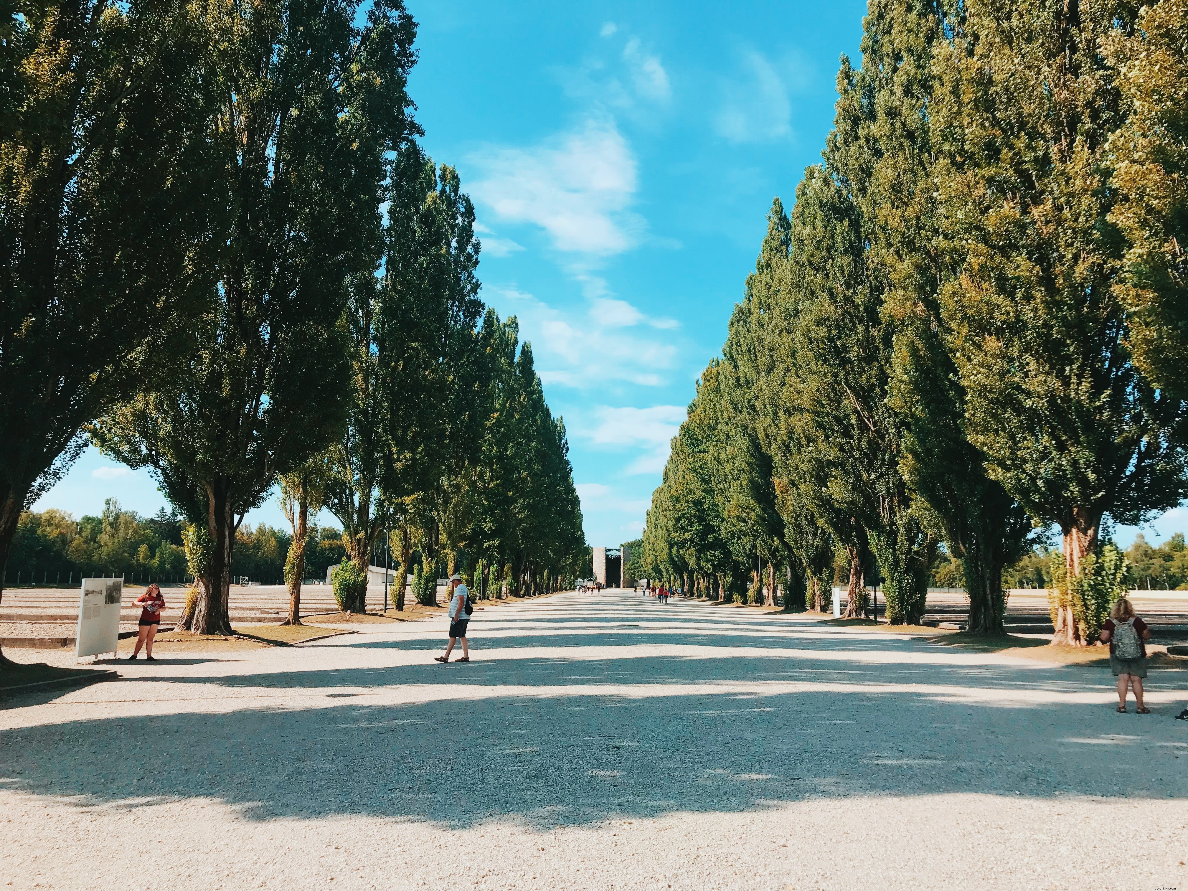 Stunning View of a Wide, Tree-Lined Pathway Buzzing with People