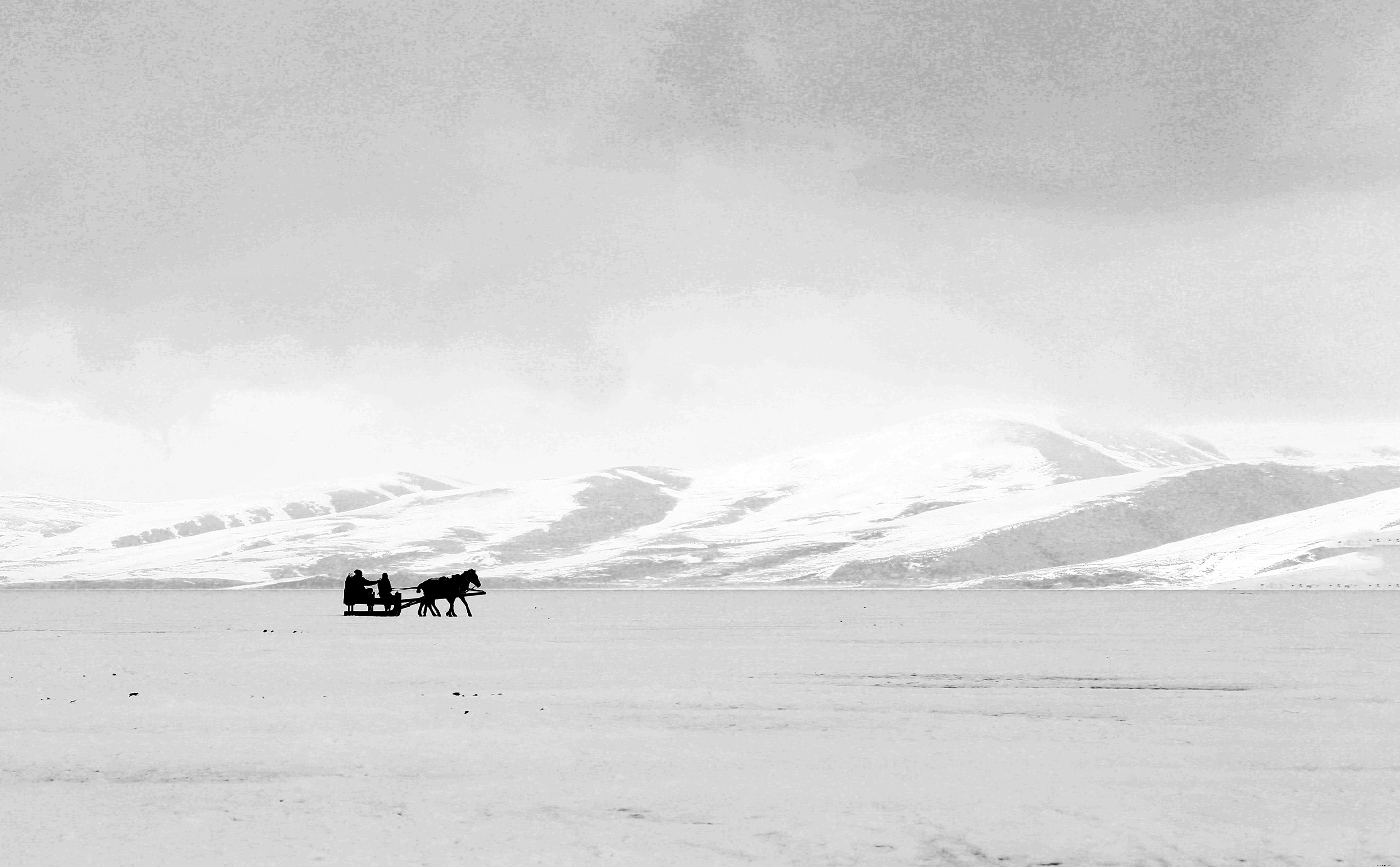 Classic Black‑and‑White Portrait: Horses on White Hills with a Sled