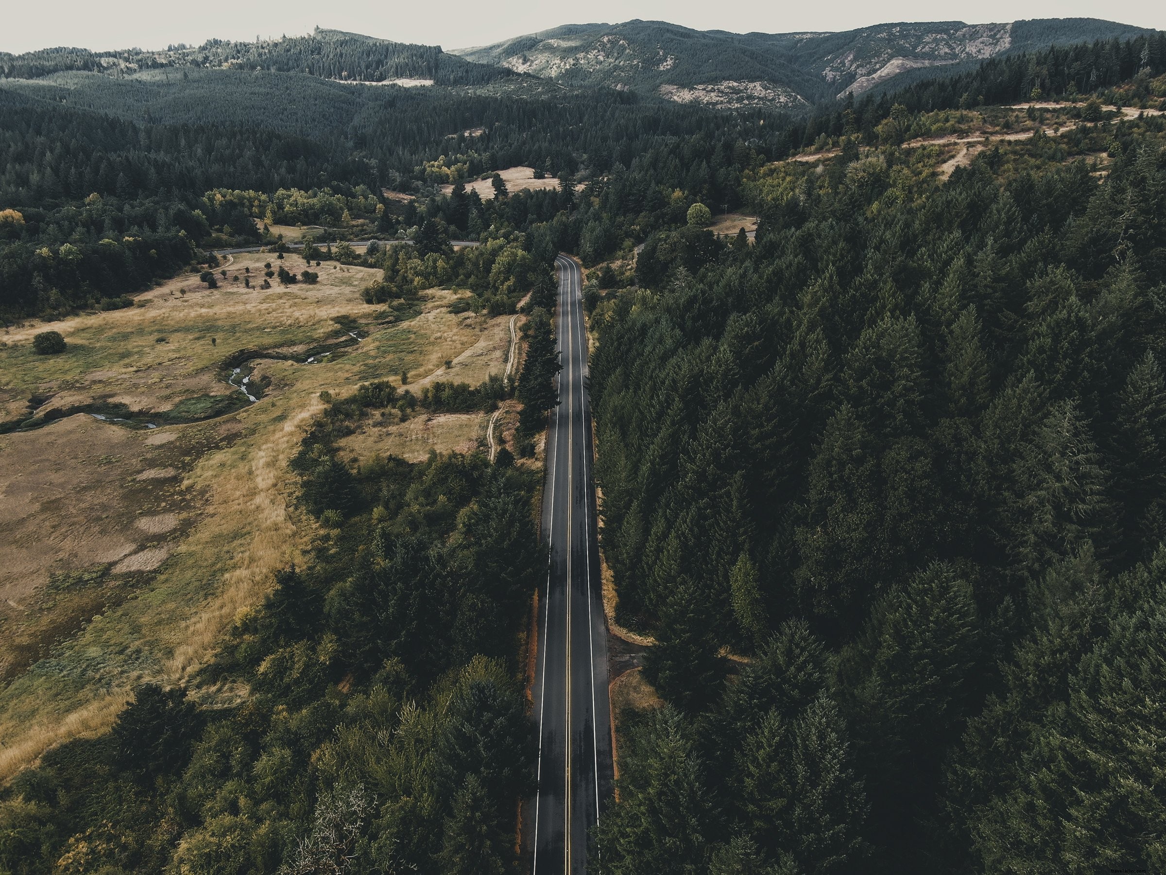 Aerial View of a Scenic Tree‑lined Road Through Valleys