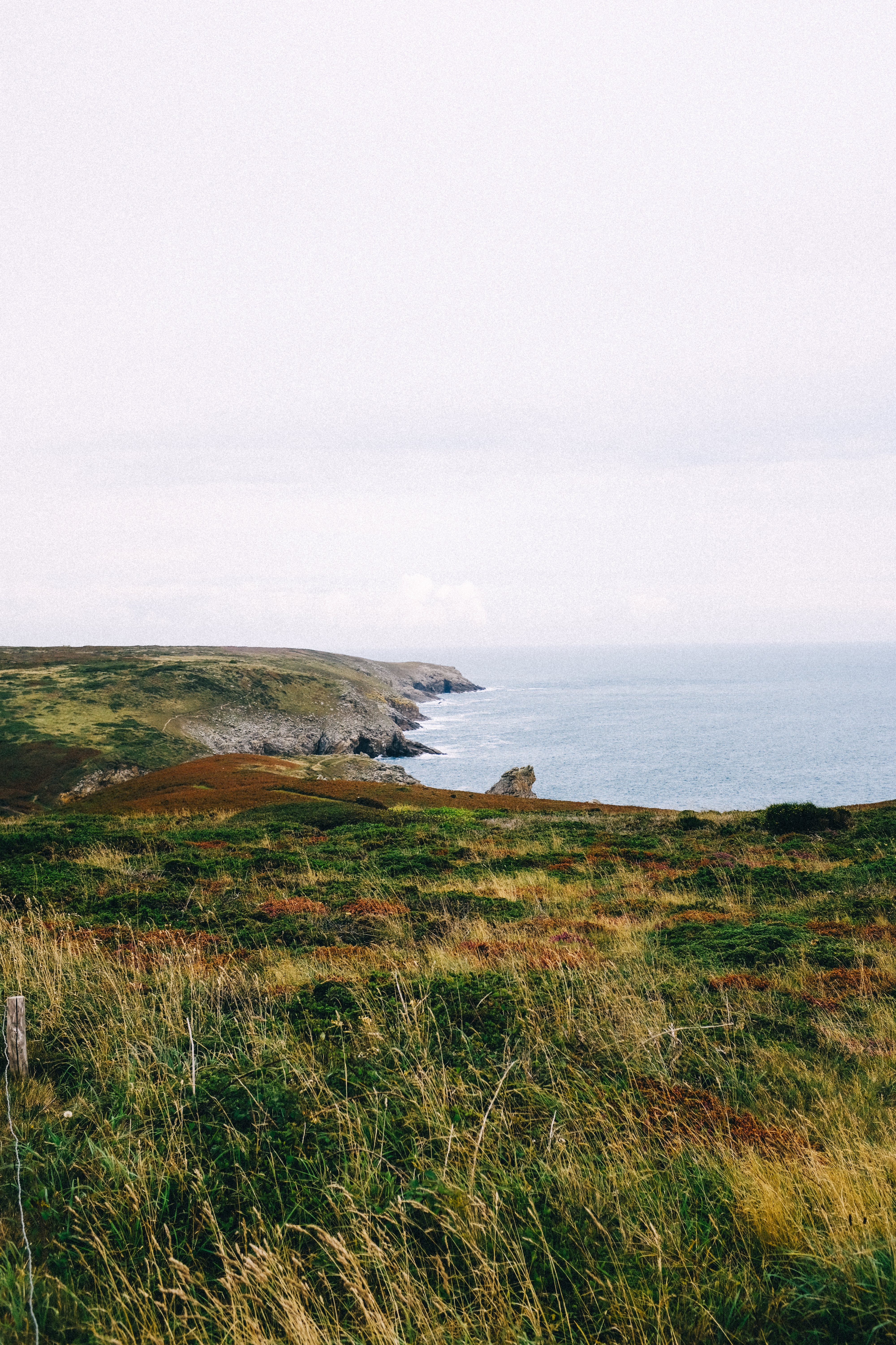 Lush Green & Yellow Coastal Grasslands by the Ocean – Captivating Landscape Photo
