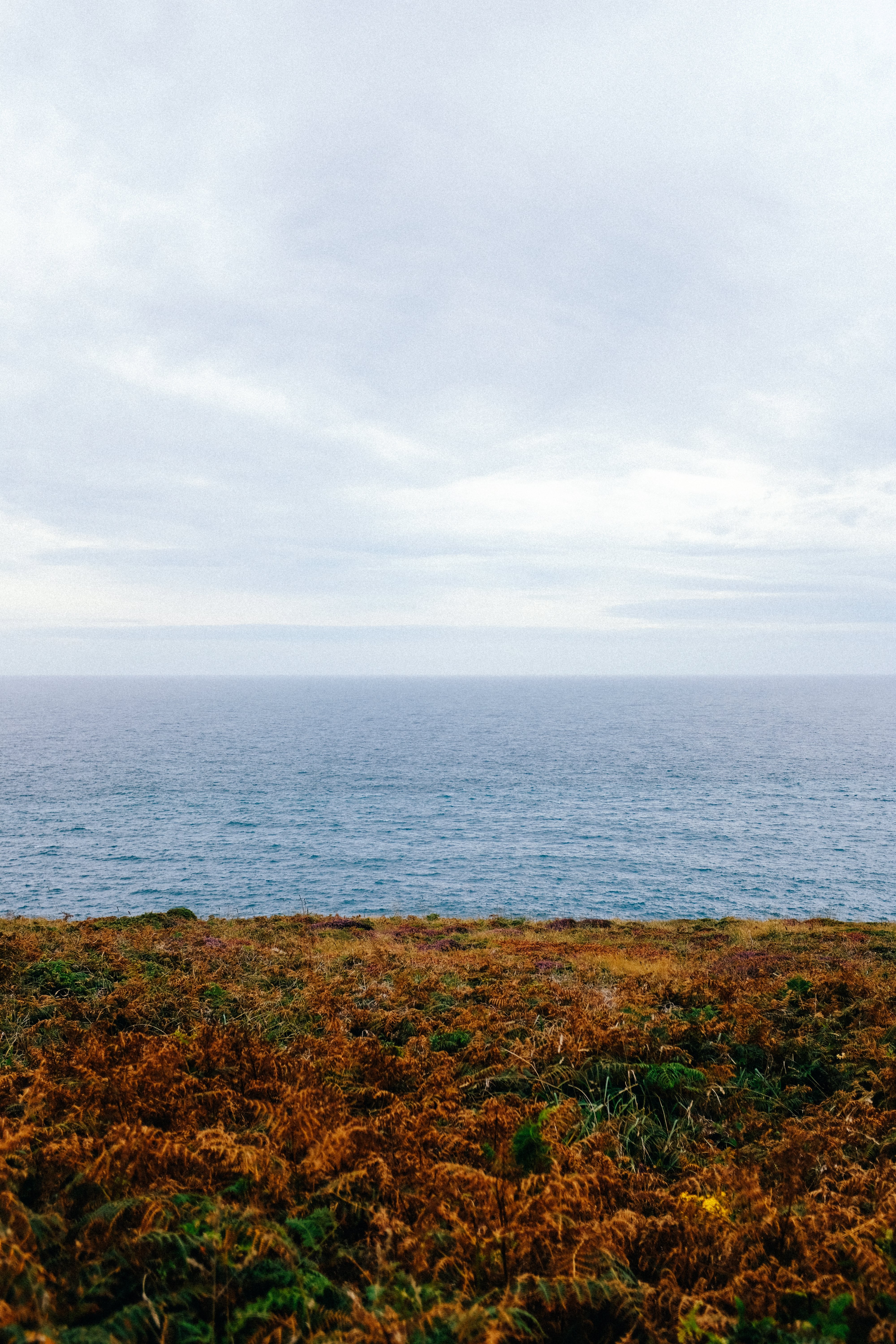 Stunning Ocean Landscape: Green & Brown Shoreline Captured in Detail