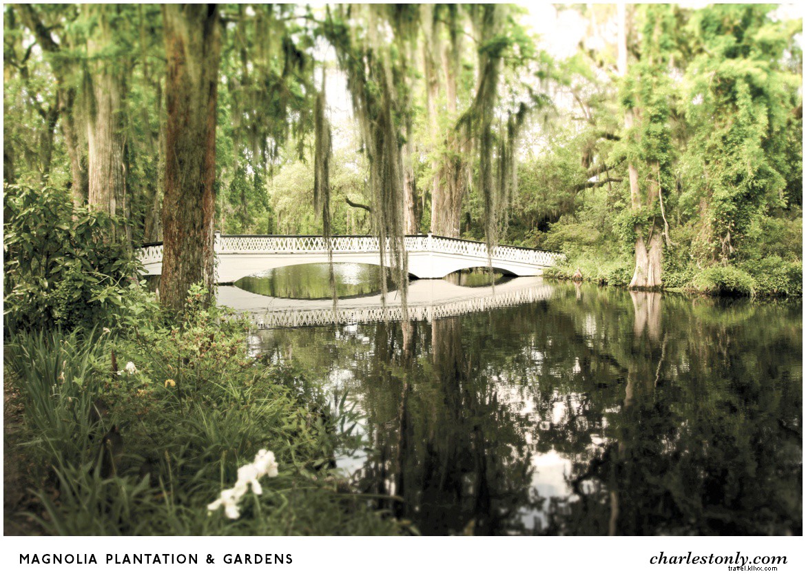 14 Destinations to Immerse Yourself in Gullah Heritage in Charleston