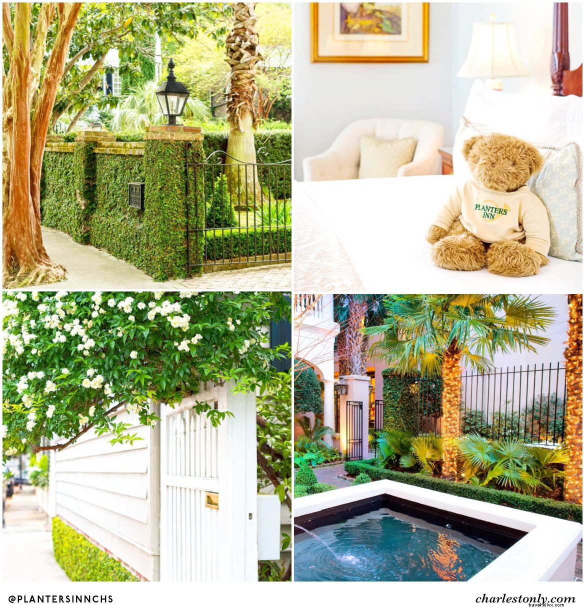 Top 6 Holy City Hotel Instagram Accounts to Follow for Charleston Inspiration