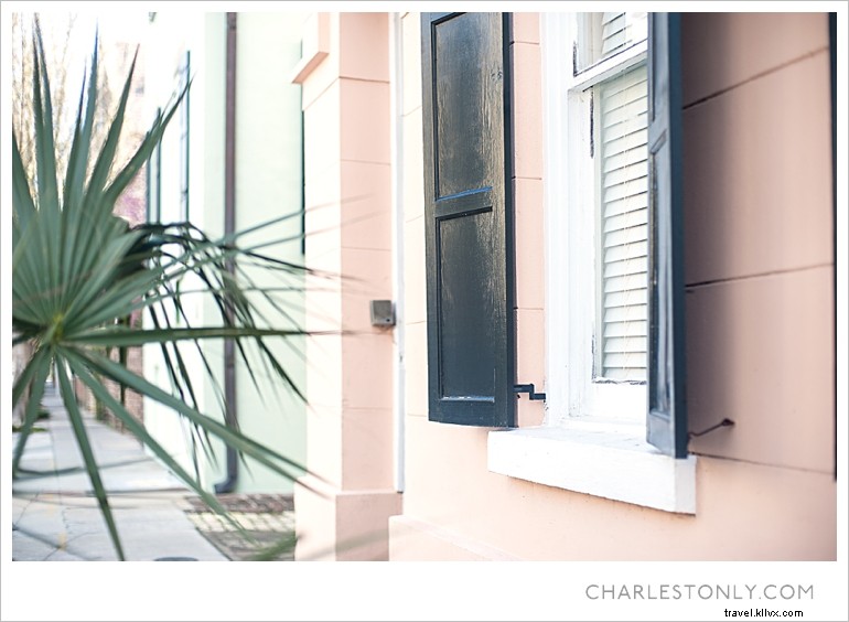 Spring Blossoms in Charleston: A Scenic Sunday Stroll