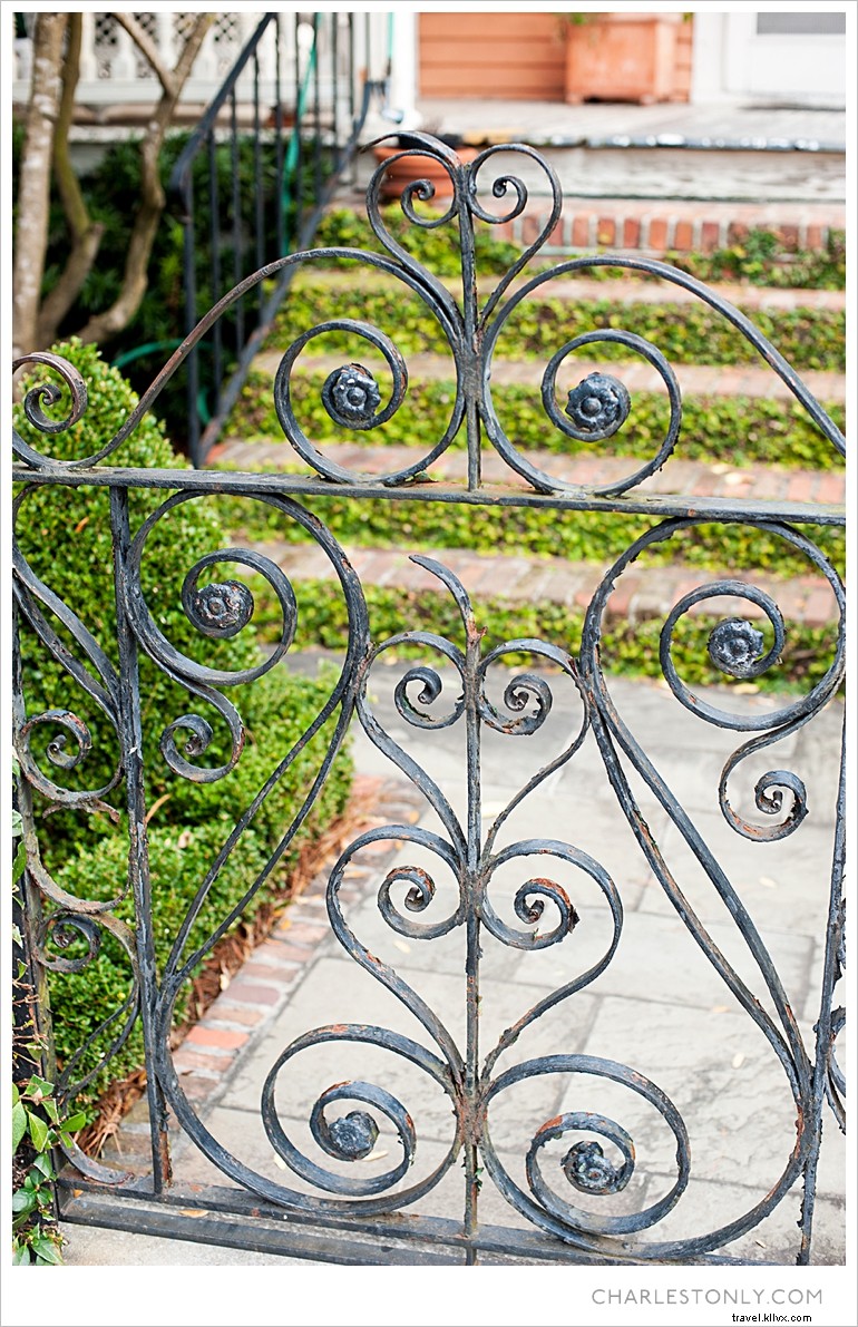 Spring Blossoms in Charleston: A Scenic Sunday Stroll
