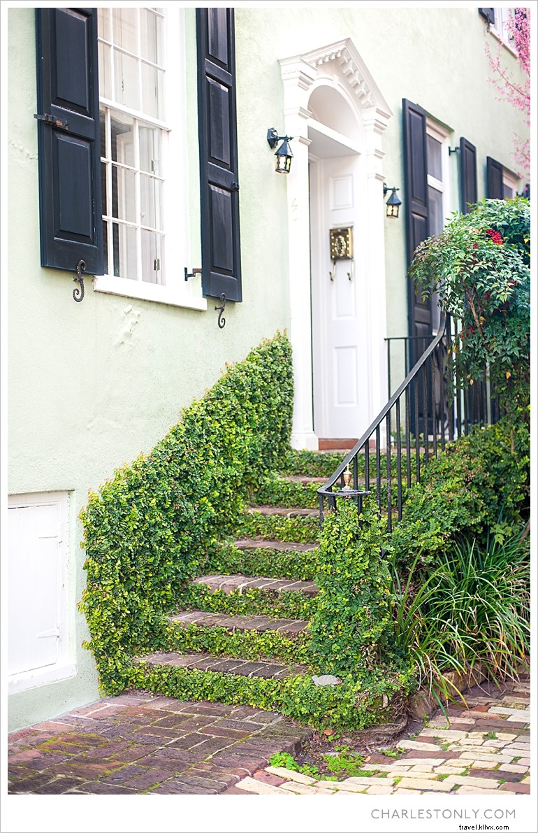 Spring Blossoms in Charleston: A Scenic Sunday Stroll