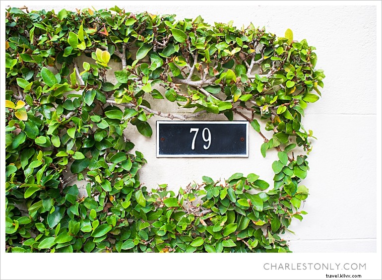 Spring Blossoms in Charleston: A Scenic Sunday Stroll