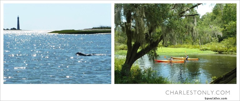 Explore Charleston’s Coastal Waters: Kayaks, Paddleboards, and Eco Adventures