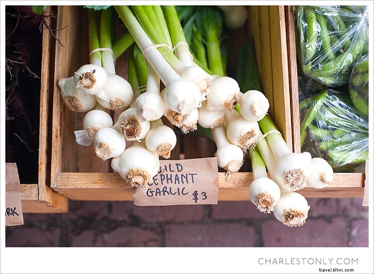Charleston’s Cultural Pulse: Spoleto, Piccolo Spoleto & Saturday Farmers Market