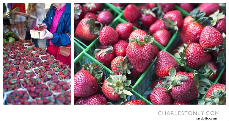 Charleston’s Cultural Pulse: Spoleto, Piccolo Spoleto & Saturday Farmers Market