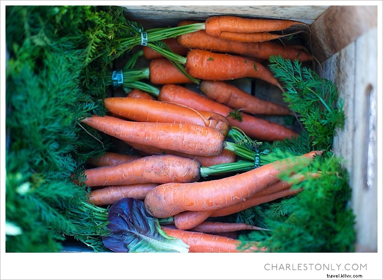 Charleston’s Cultural Pulse: Spoleto, Piccolo Spoleto & Saturday Farmers Market