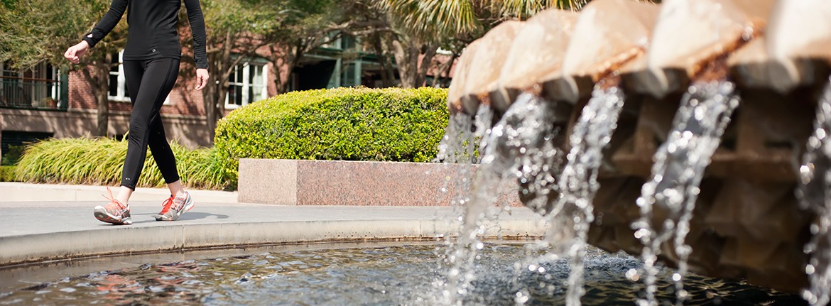 Explore Charleston’s Scenic Landscapes and Premier Spring Sports Events