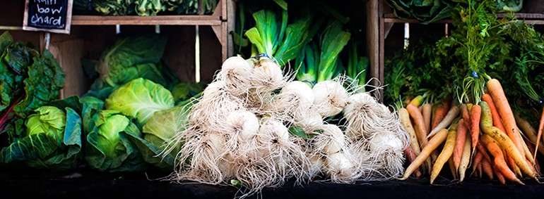 Charleston: A Timeless Garden City of the South