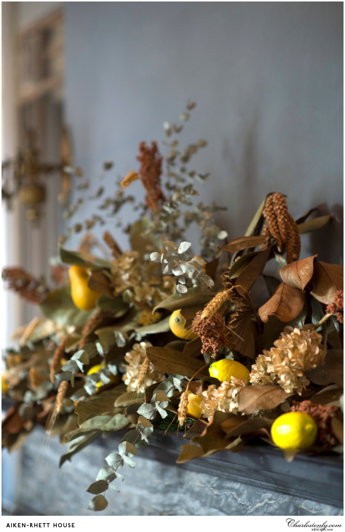 Why Charleston Is the Ultimate Holiday Destination: 9 Compelling Reasons