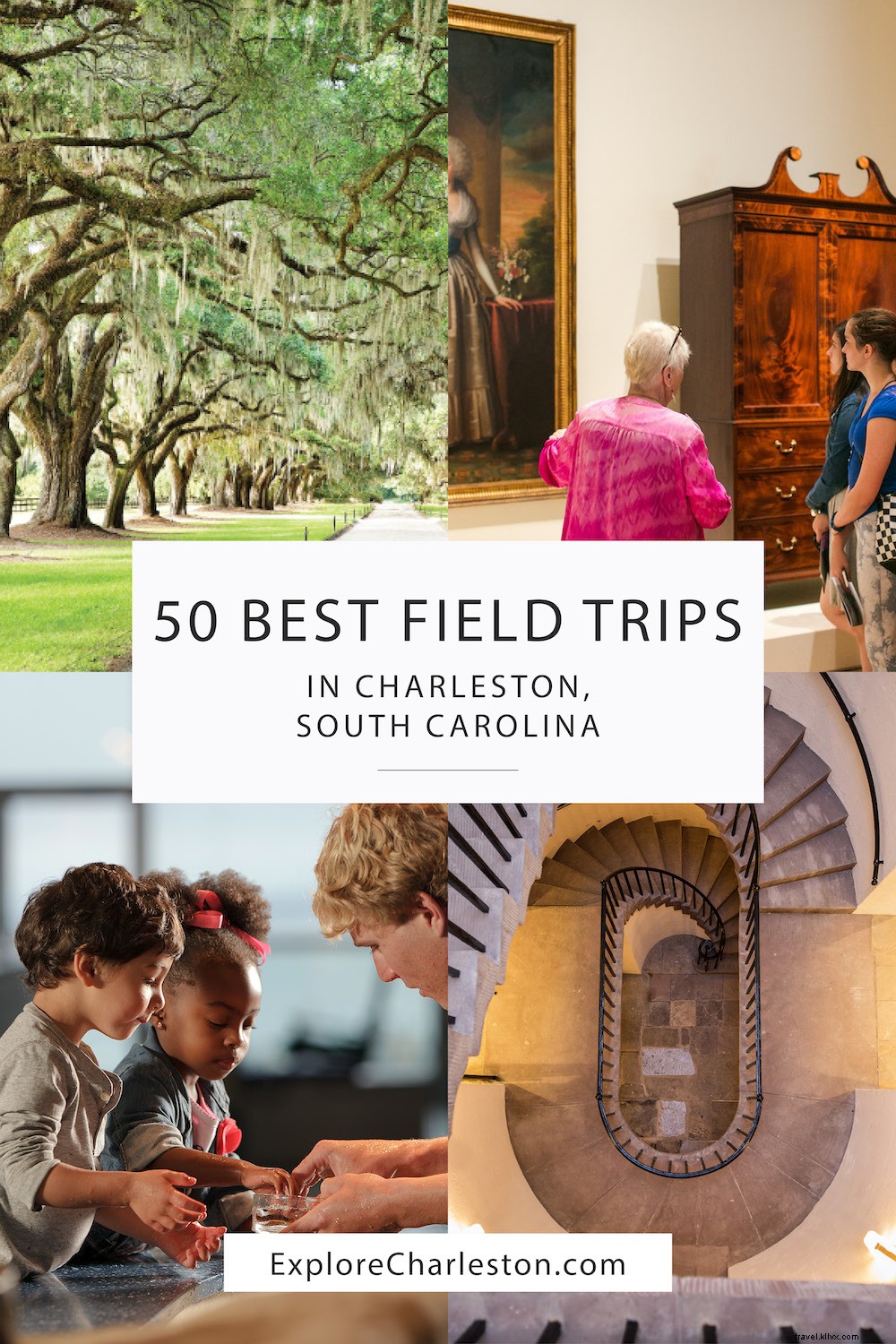 50 Top Field Trips for Students in Charleston: History, Art, Science & More
