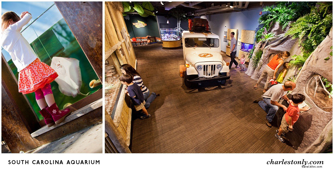 23 Must‑Visit Family‑Friendly Attractions in Charleston