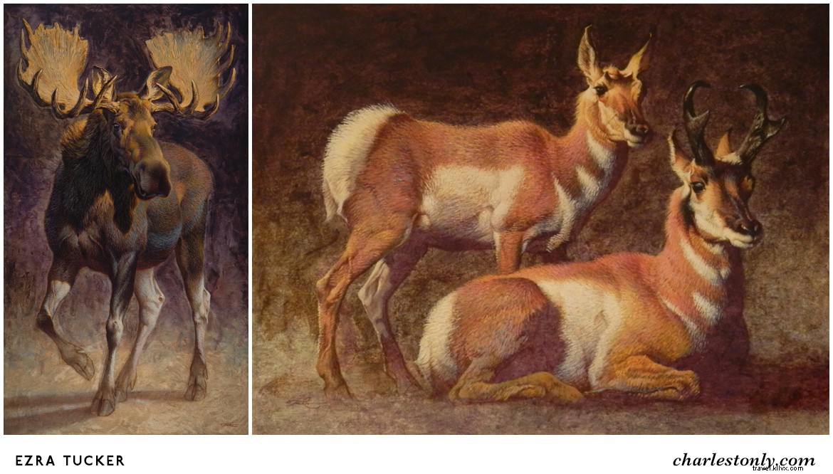 Top 5 Reasons to Attend SEWE: Insights from Featured Artist Ezra Tucker