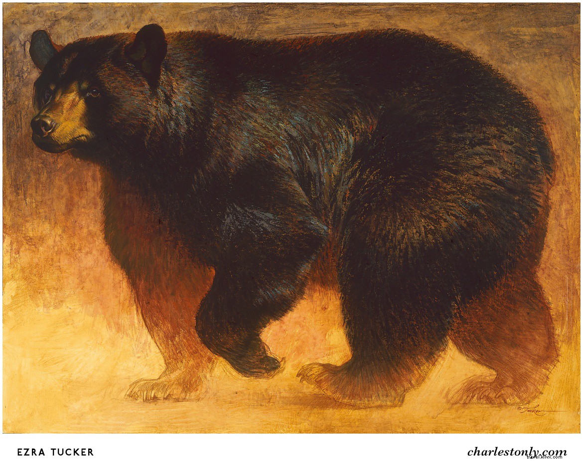 Top 5 Reasons to Attend SEWE: Insights from Featured Artist Ezra Tucker