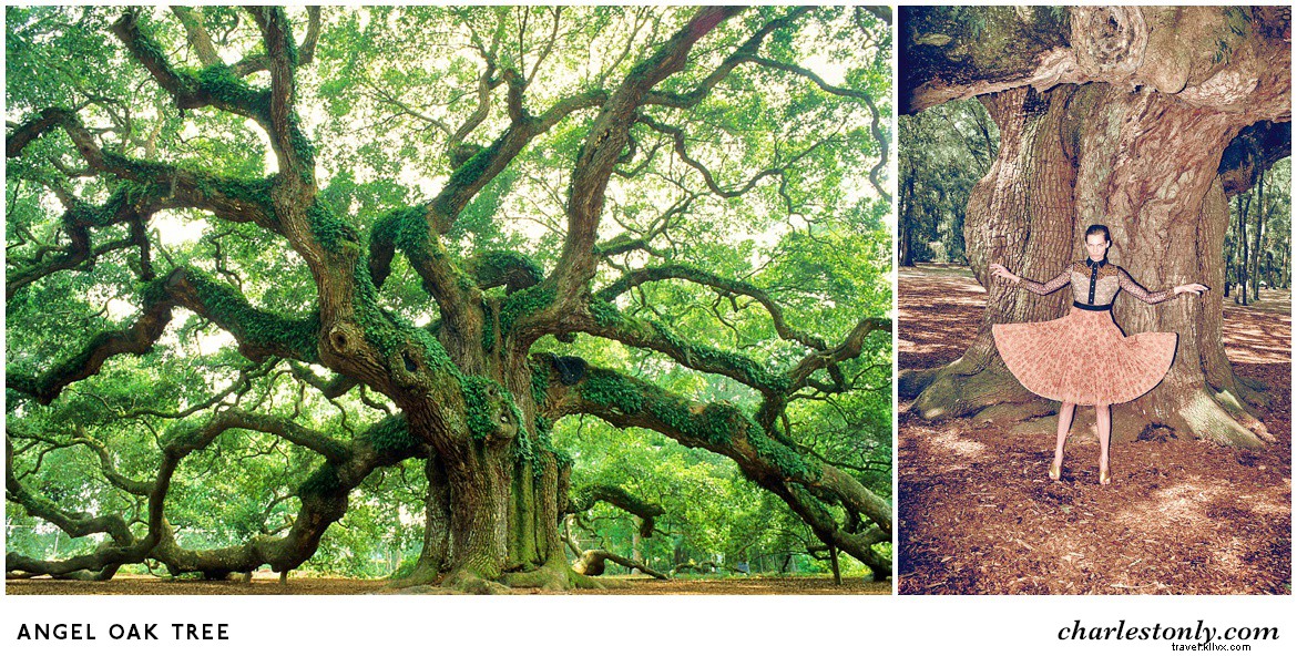 Bergdorf Goodman Partners with Charleston to Showcase Southern Charm