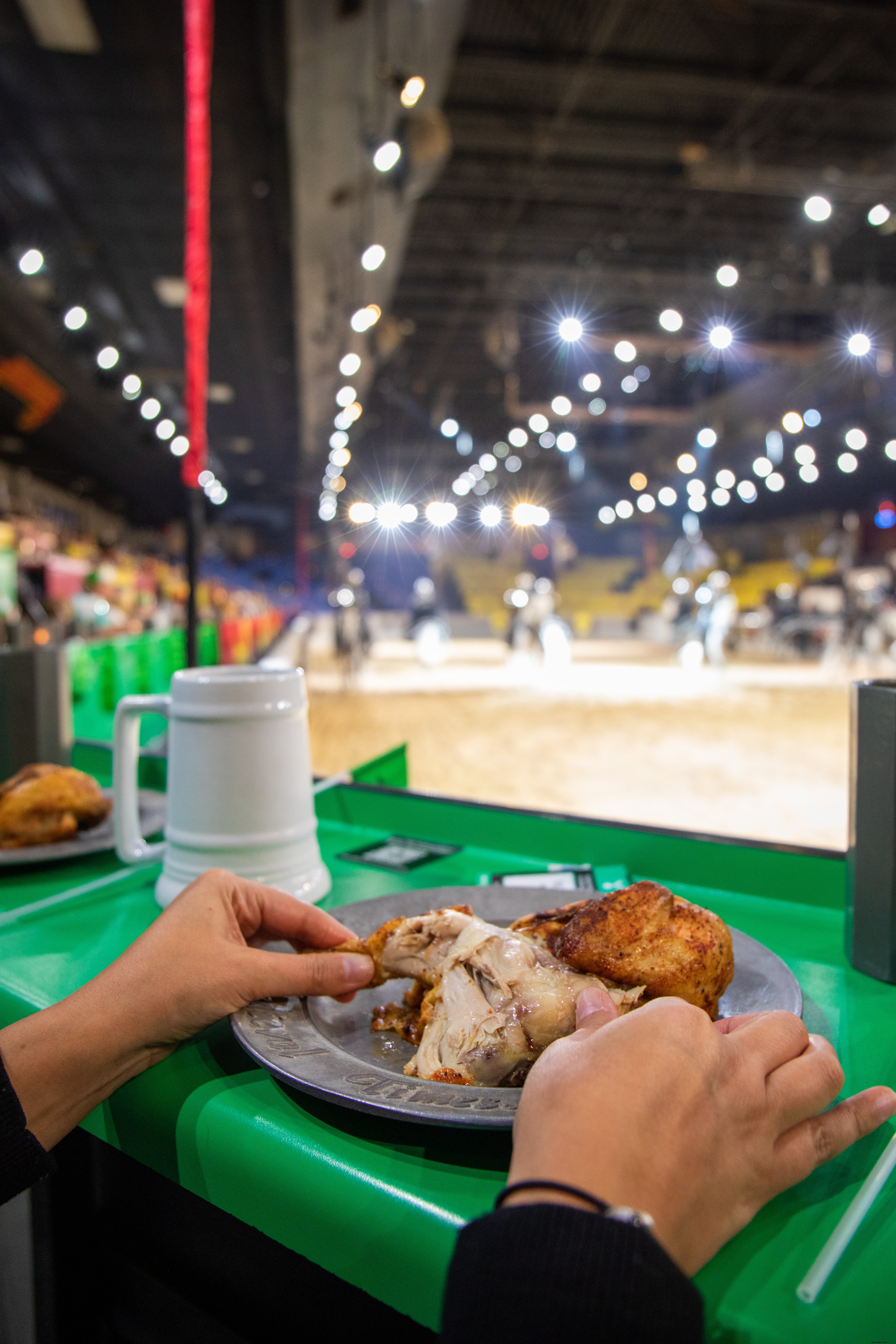 Medieval Times Dallas: A Family‑Friendly Holiday Adventure