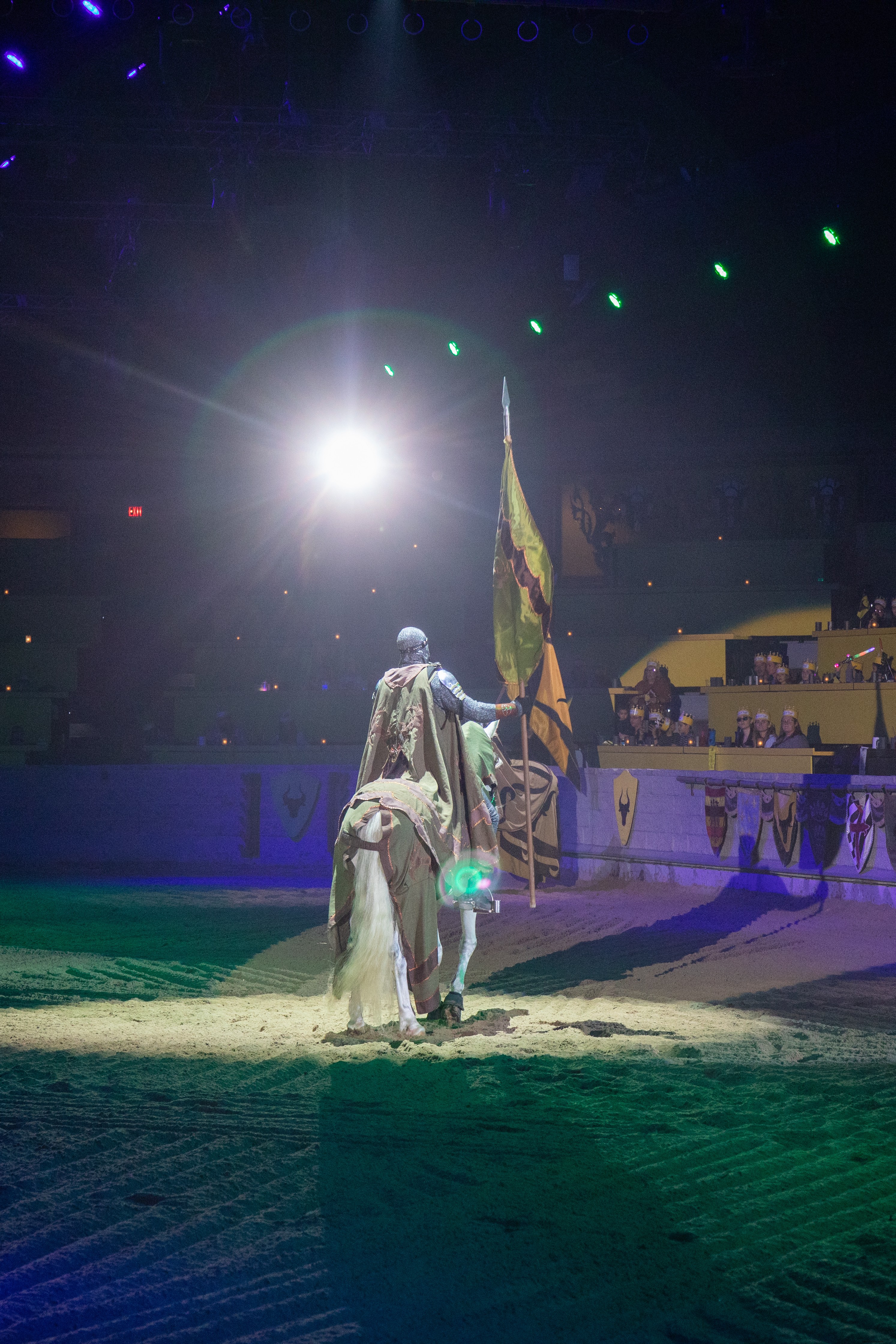 Medieval Times Dallas: A Family‑Friendly Holiday Adventure