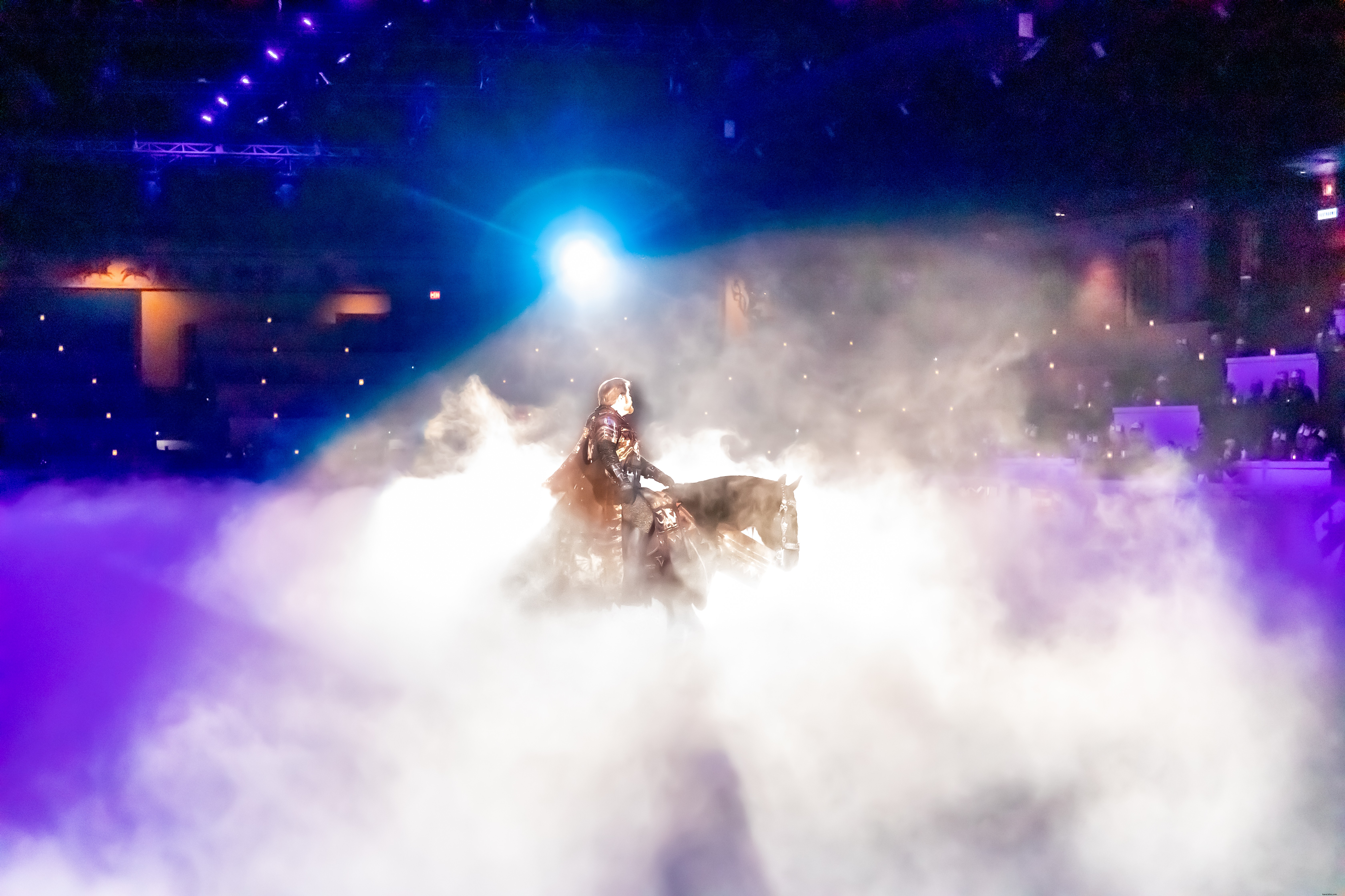 Medieval Times Dallas: A Family‑Friendly Holiday Adventure