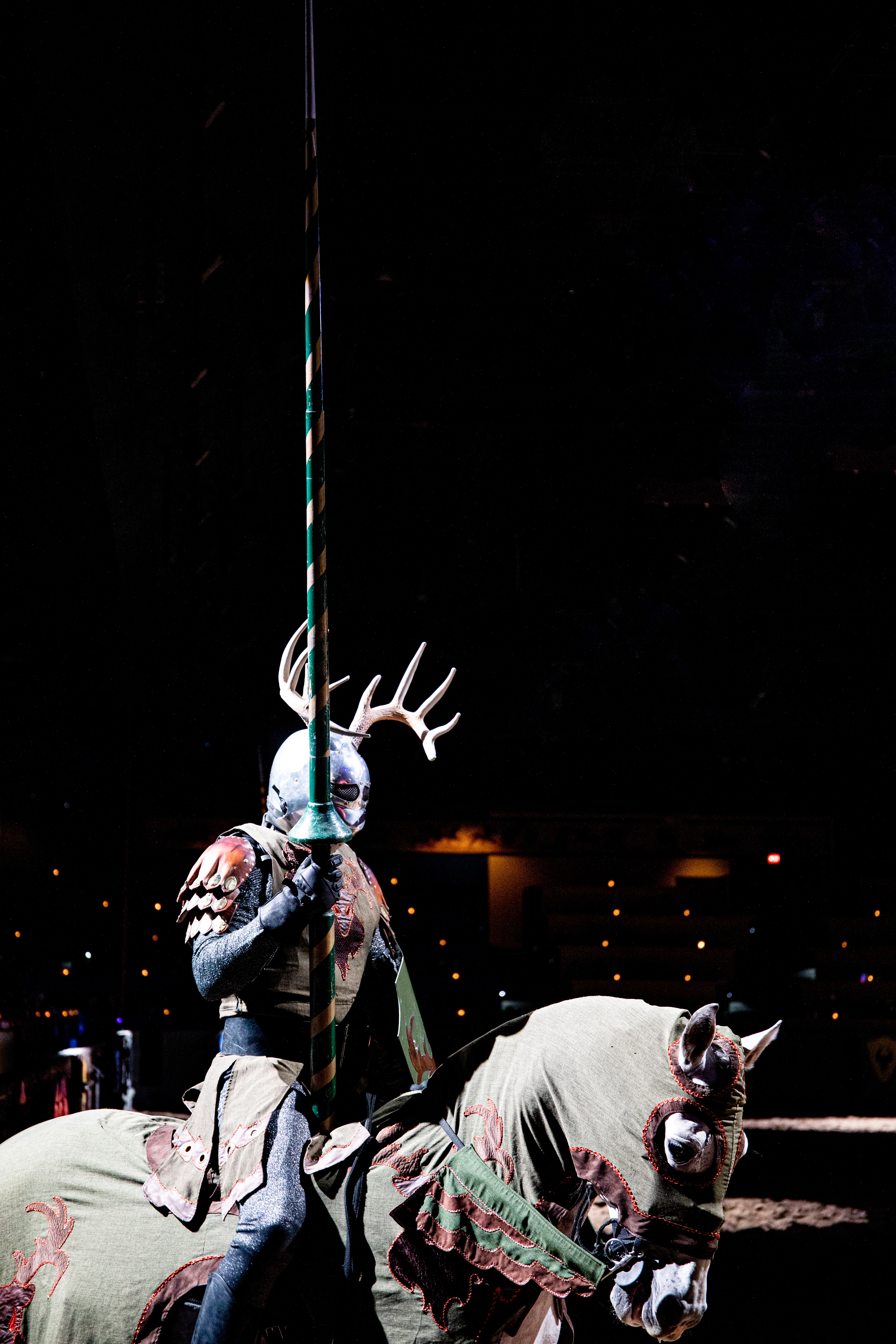 Medieval Times Dallas: A Family‑Friendly Holiday Adventure