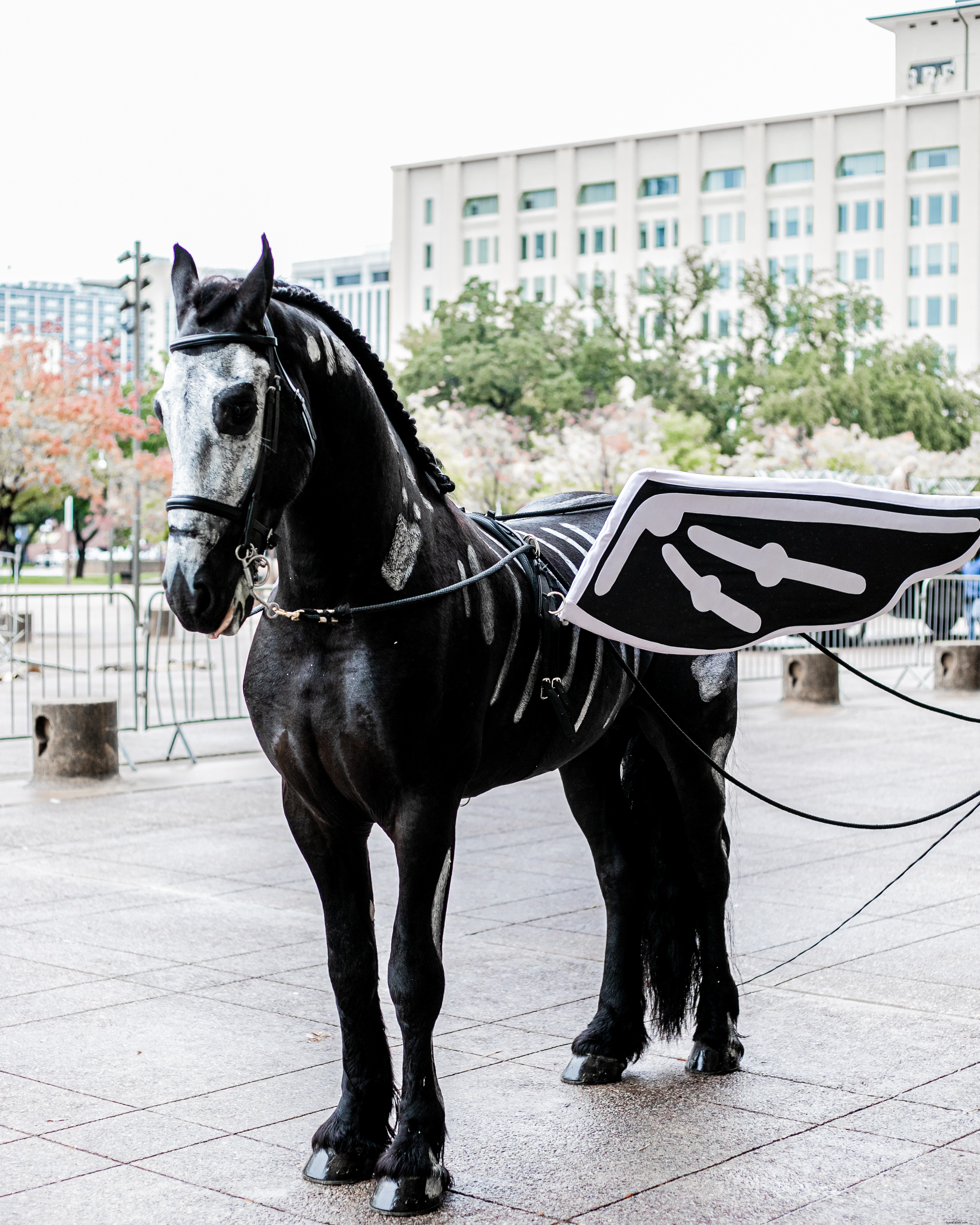 Dallas Dia de los Muertos Parade 2019: A Vibrant Celebration of Life and Legacy