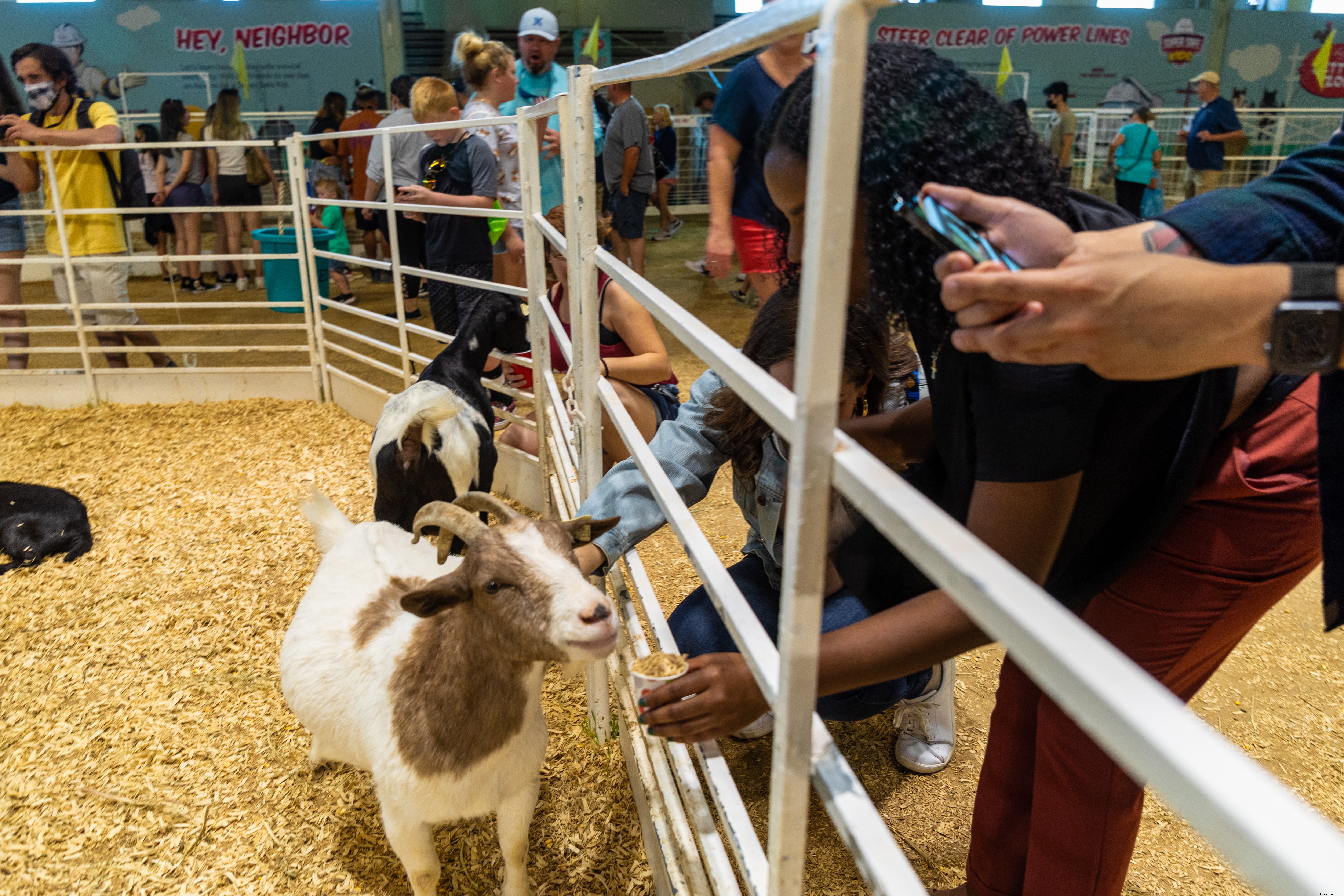 Romantic Date Night Ideas at the State Fair of Texas