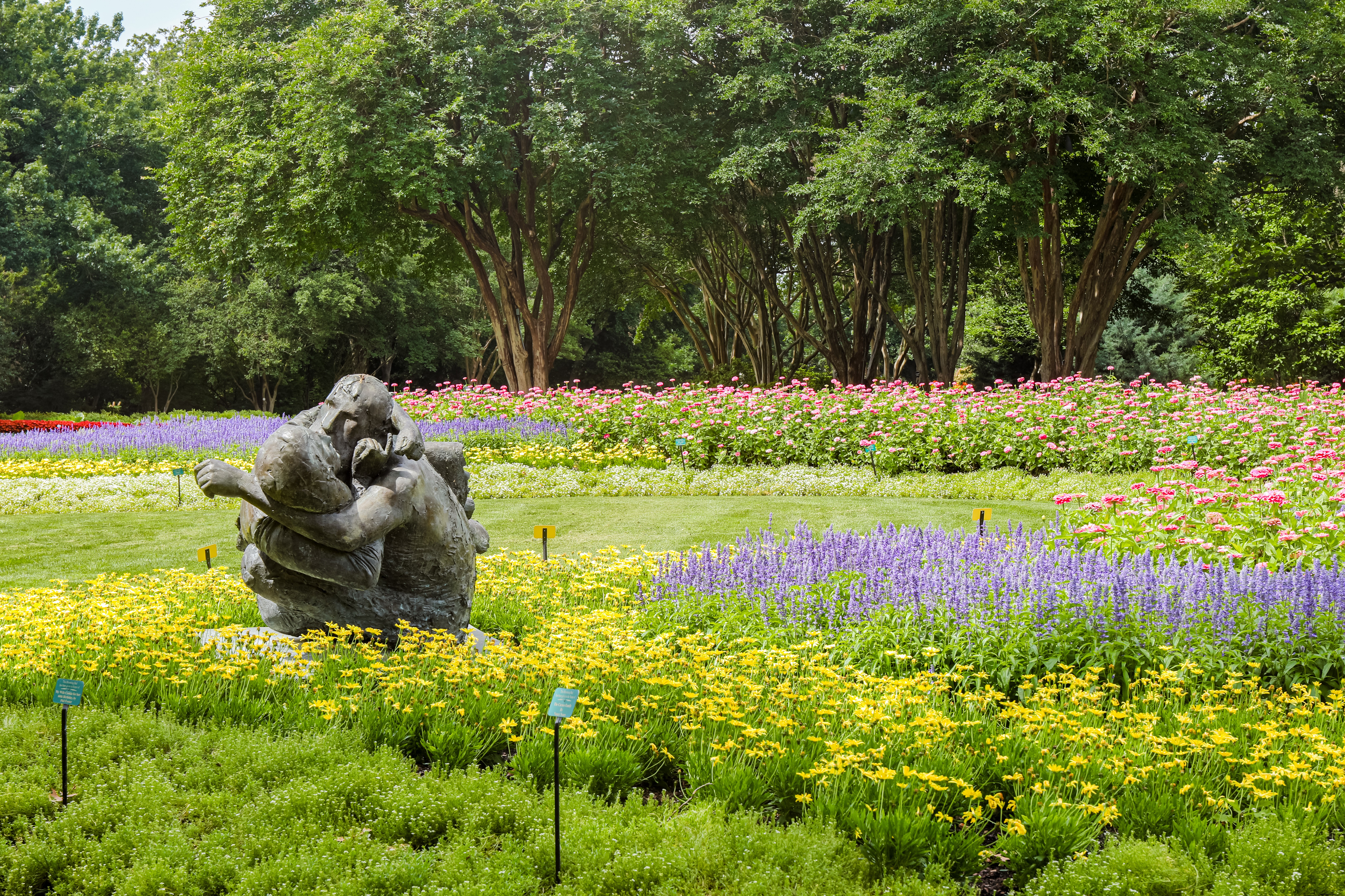 First‑Time Visitor’s Guide to the Dallas Arboretum and Botanical Garden