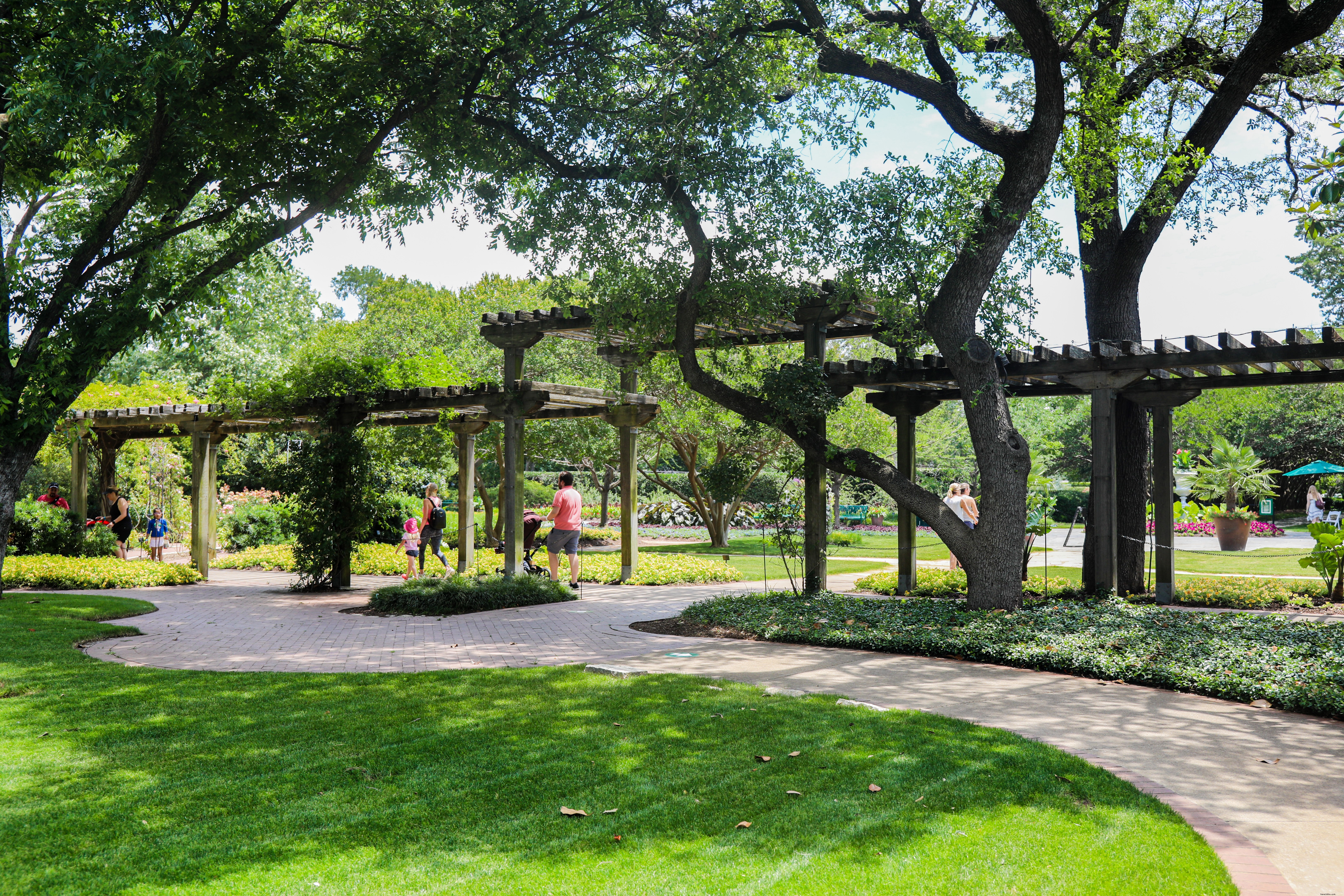First‑Time Visitor’s Guide to the Dallas Arboretum and Botanical Garden