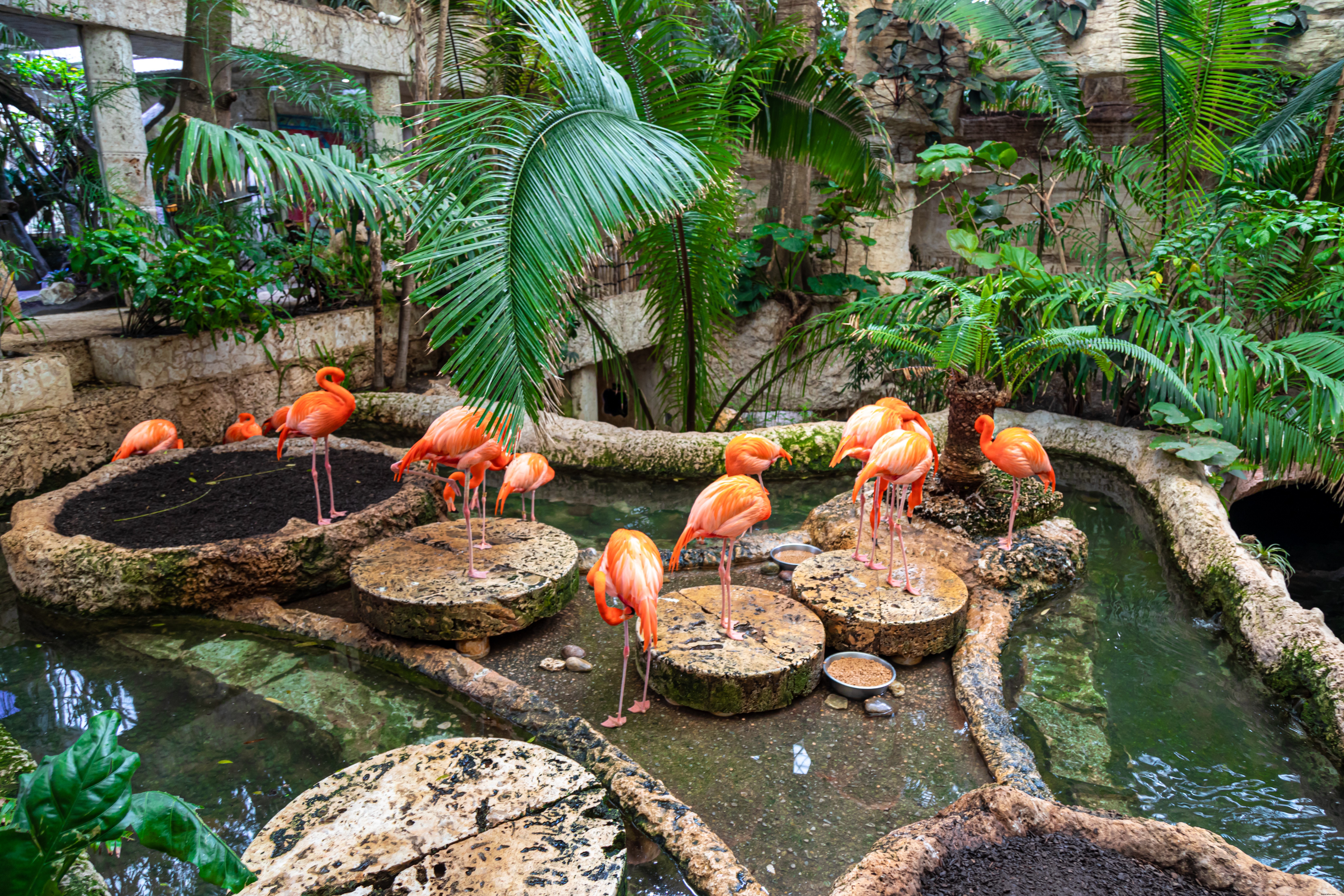 Dallas World Aquarium Photo Essay – Inside the Downtown Wildlife Hub
