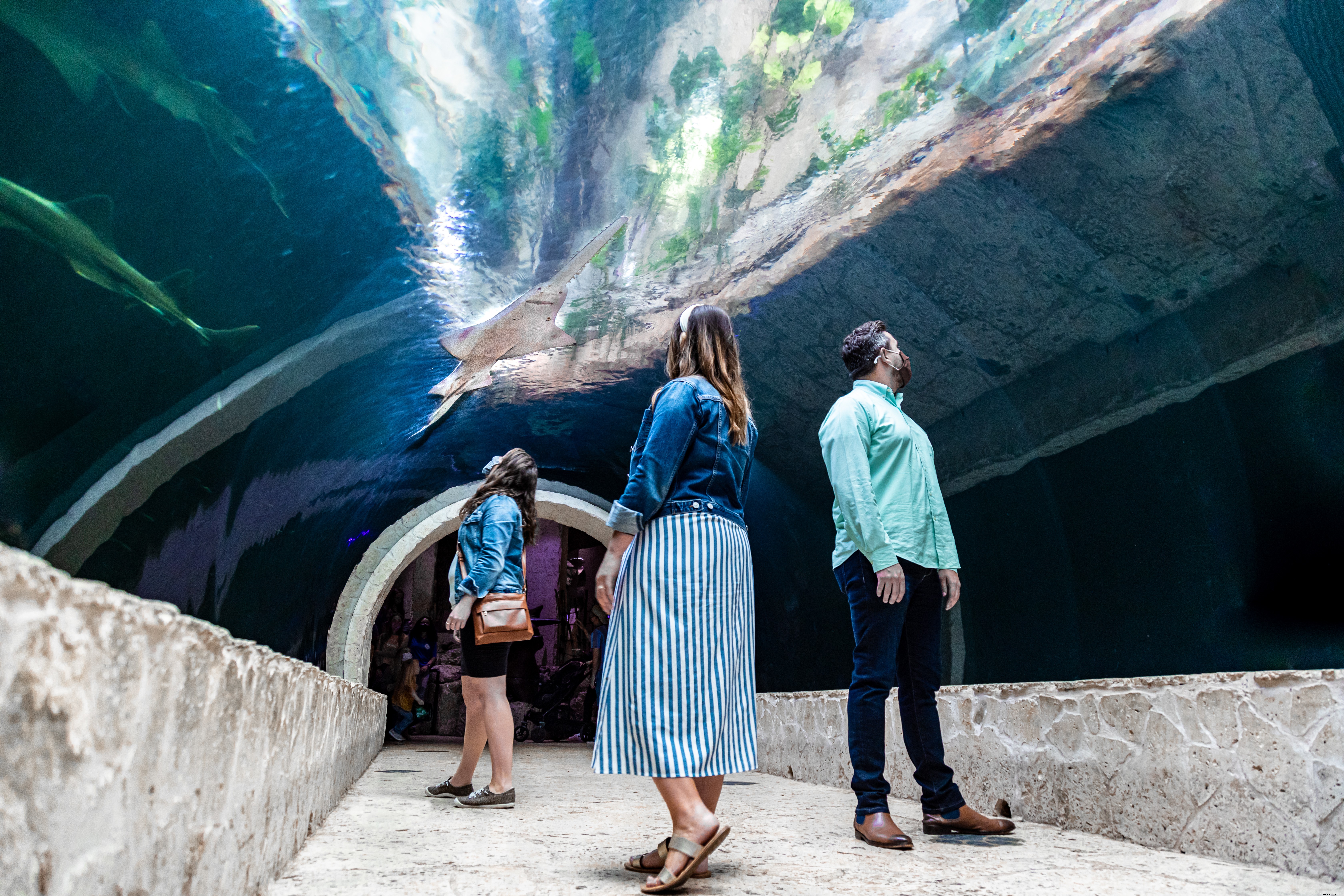Dallas World Aquarium Photo Essay – Inside the Downtown Wildlife Hub