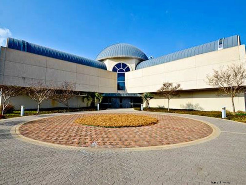 Celebrating 45 Years: The African American Museum of Dallas Leads in Art, Education, and Community