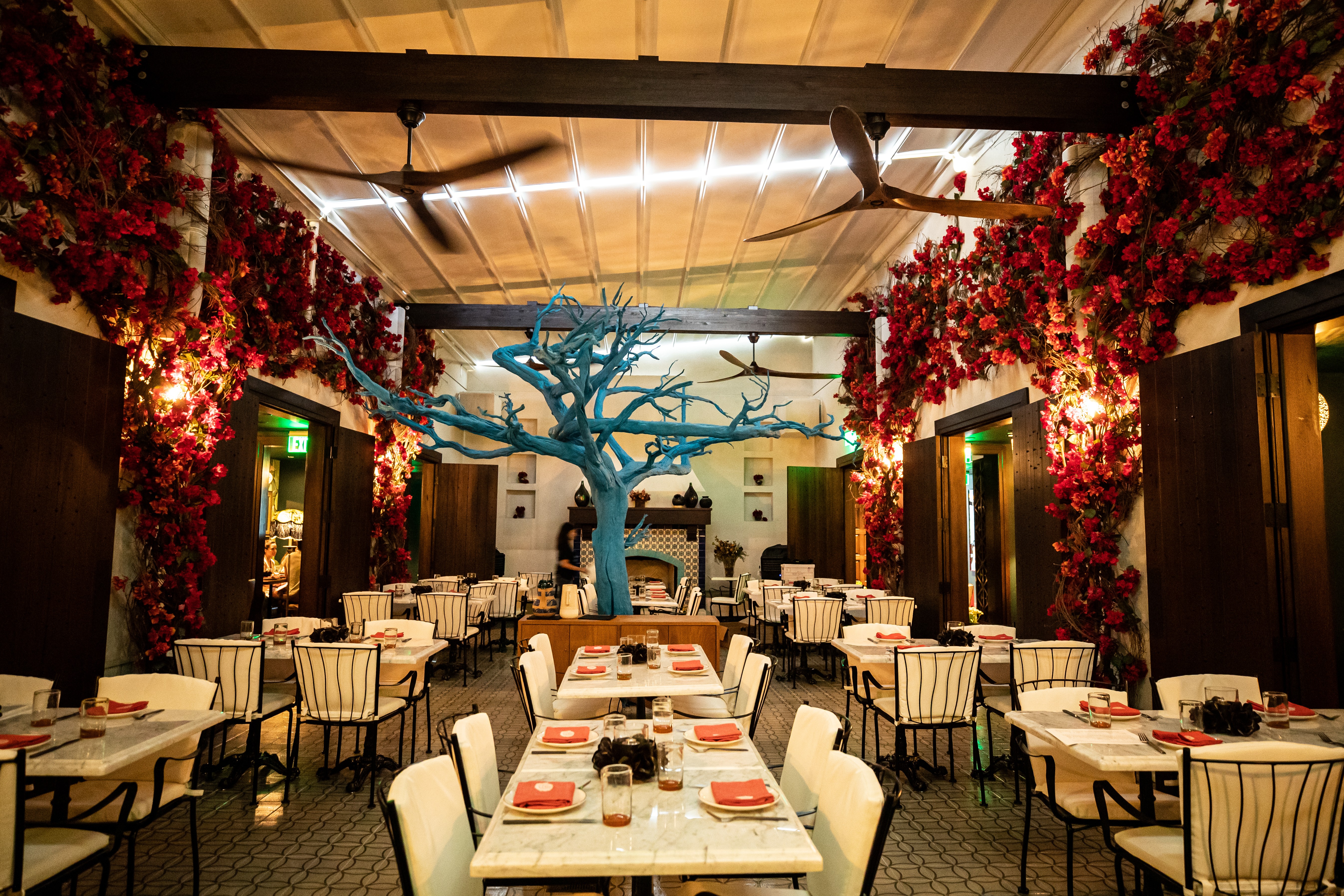 13 Must‑Try Fall Restaurants & Fresh Flavors in Dallas