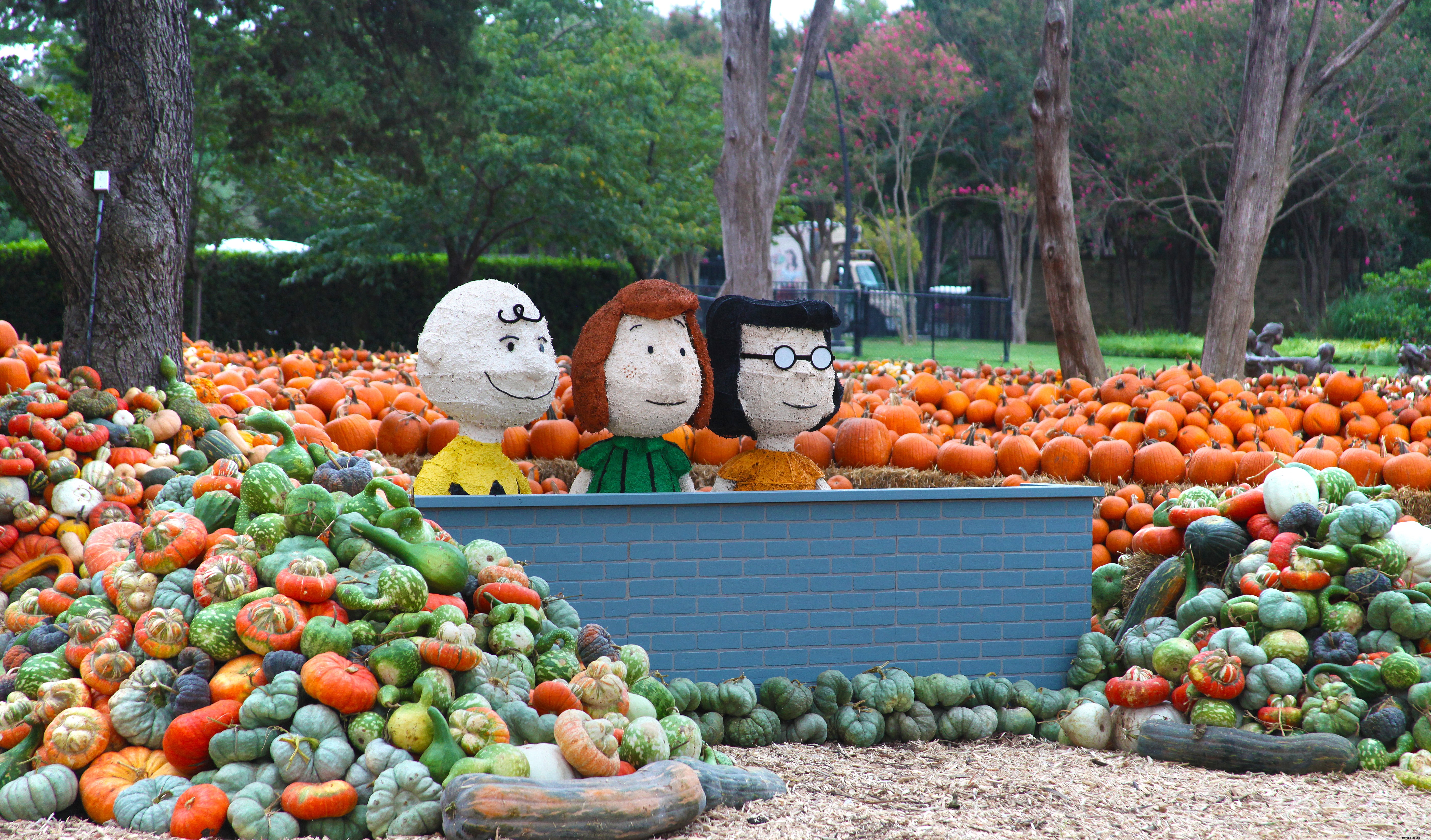 6 Reasons to Experience Autumn at Dallas Arboretum