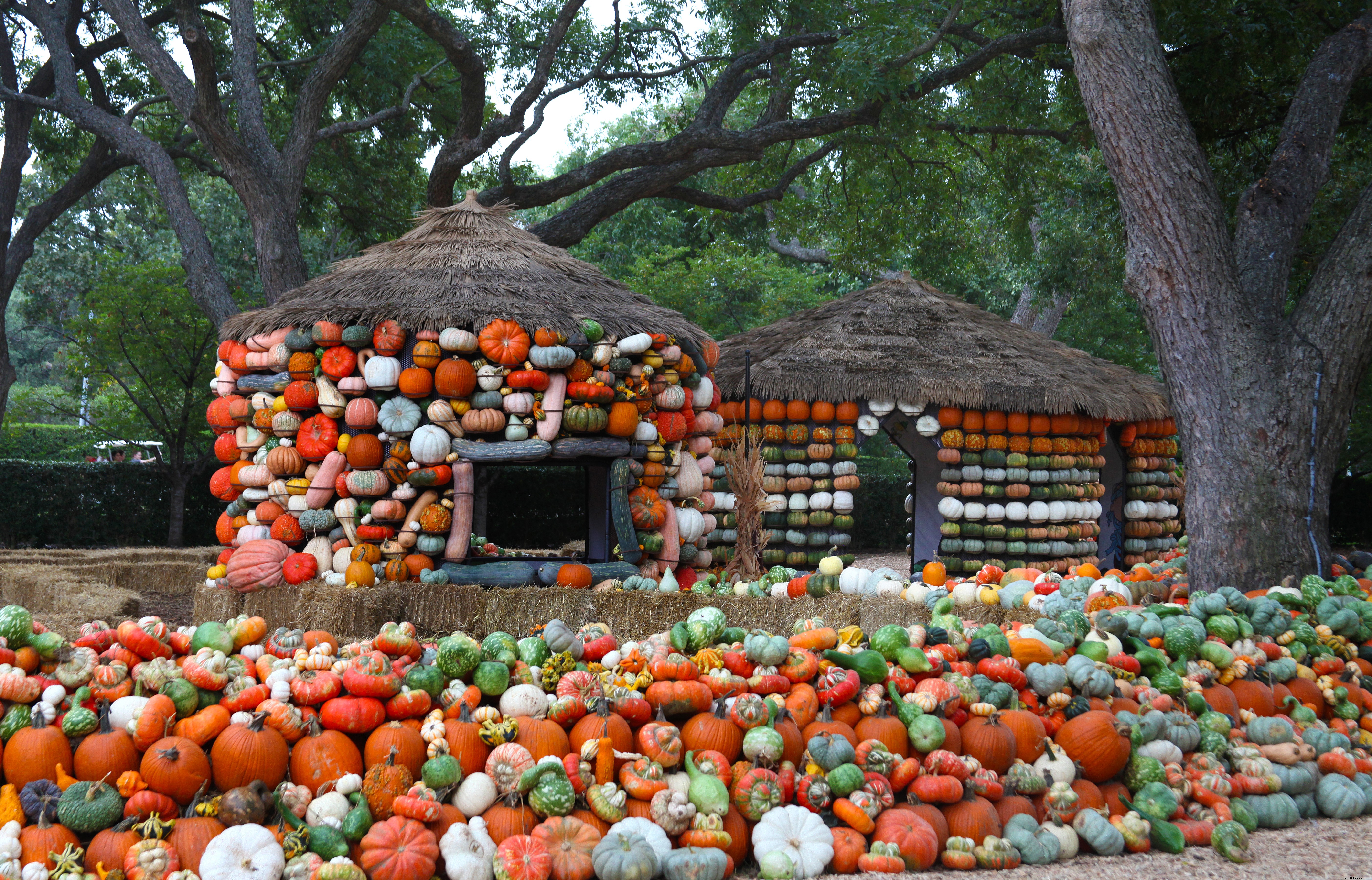 6 Reasons to Experience Autumn at Dallas Arboretum